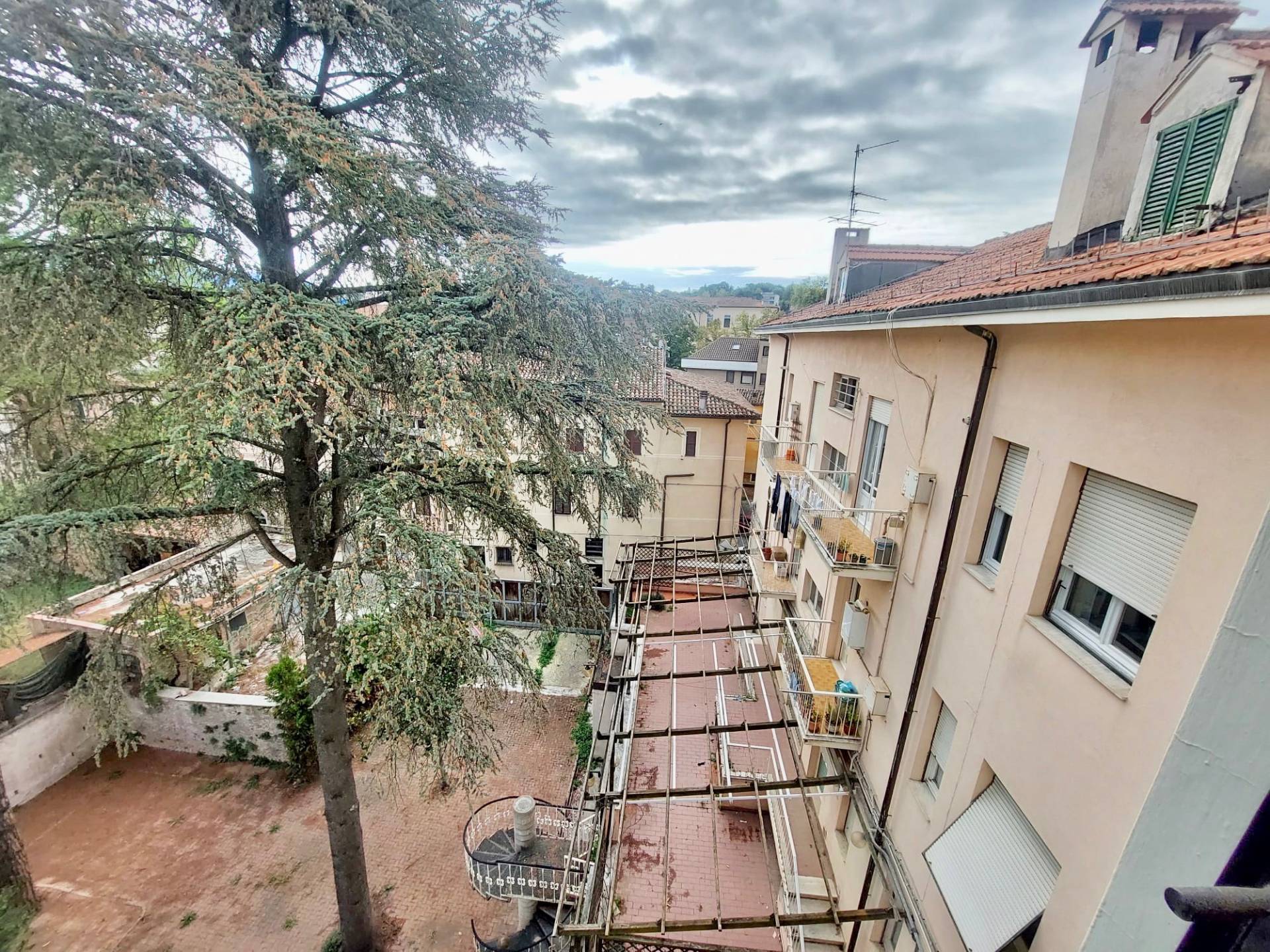 Foto annuncio 18