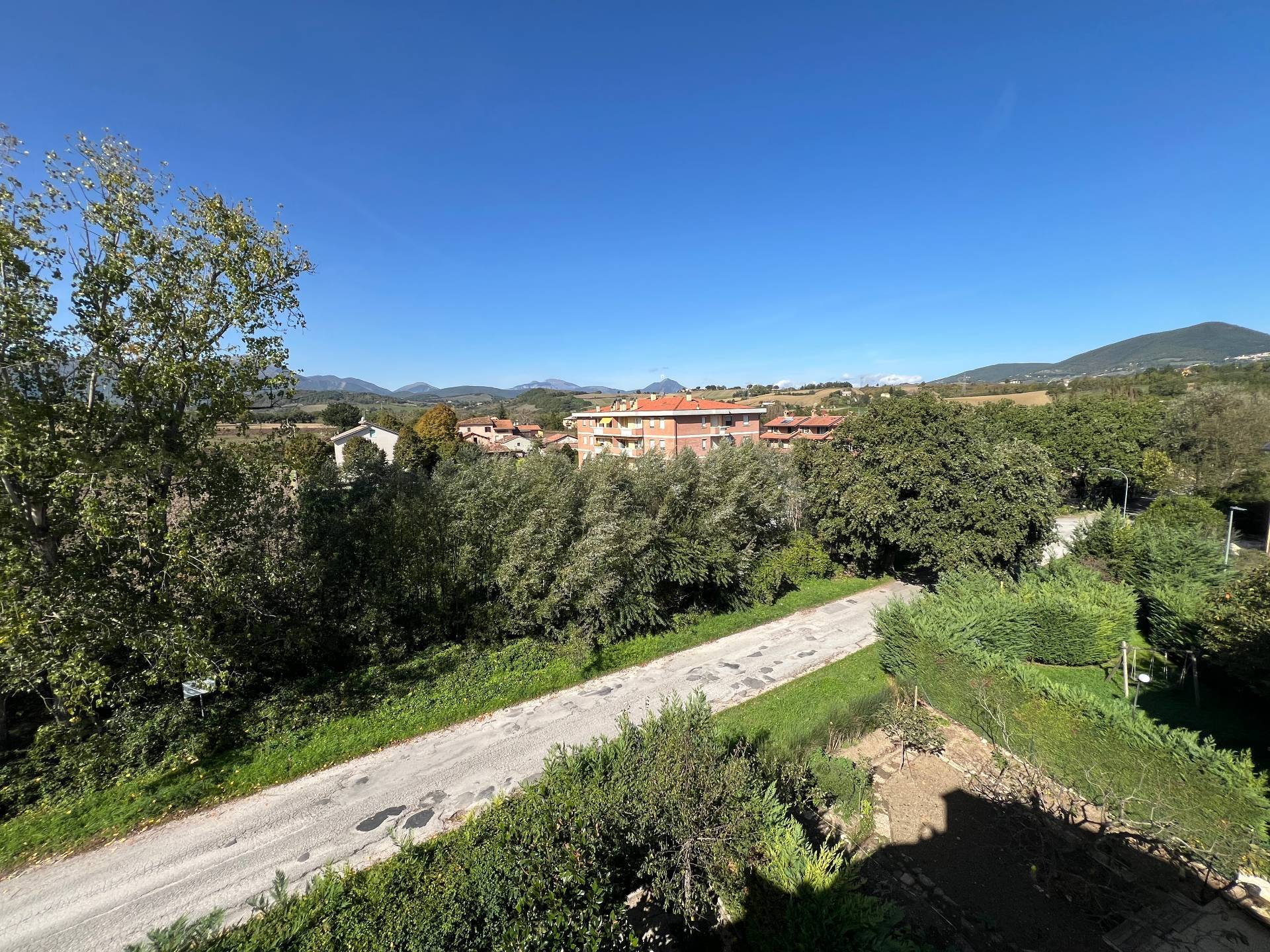 Foto annuncio 29