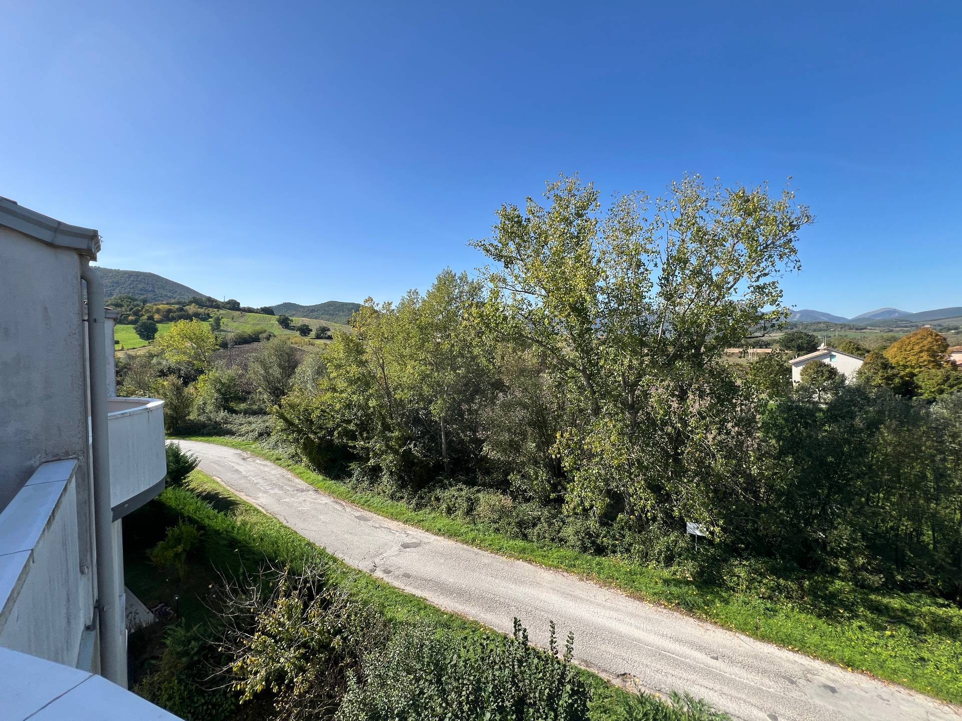 Foto annuncio 30