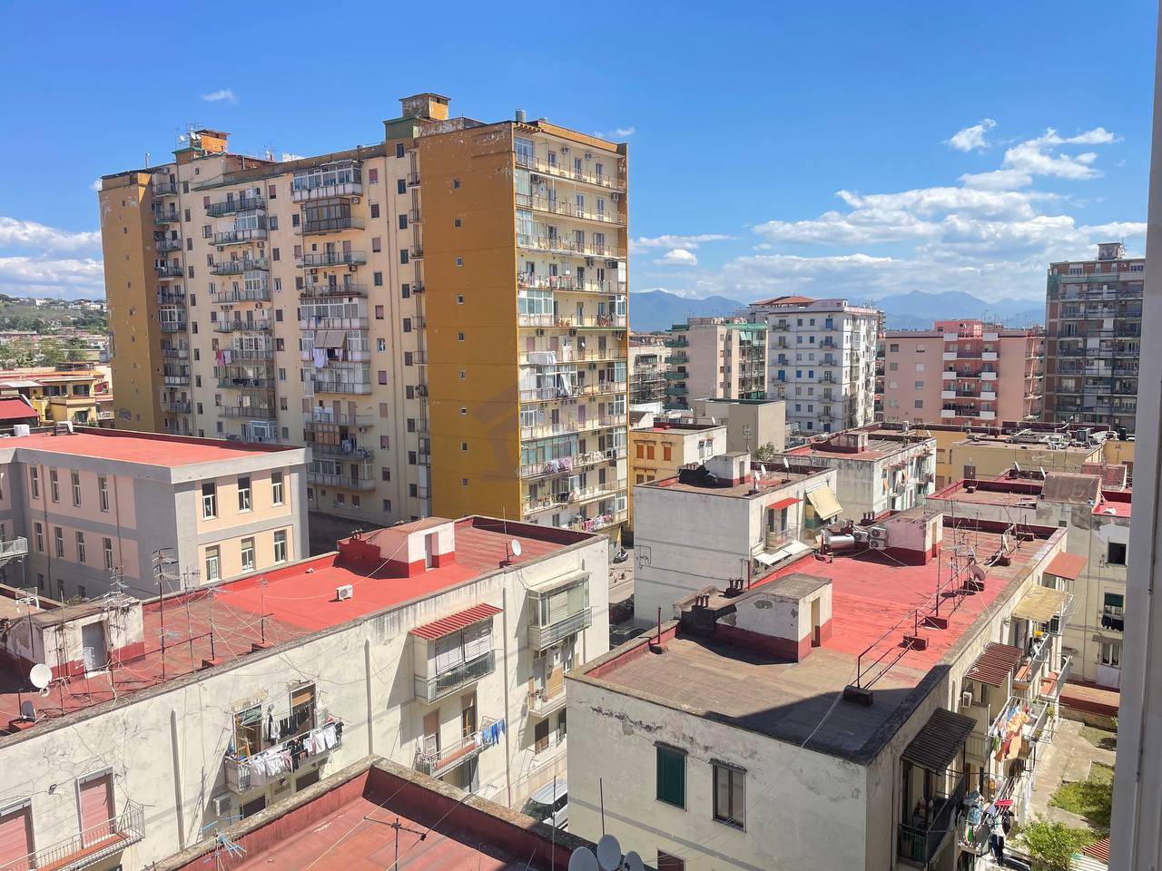 Foto annuncio 10