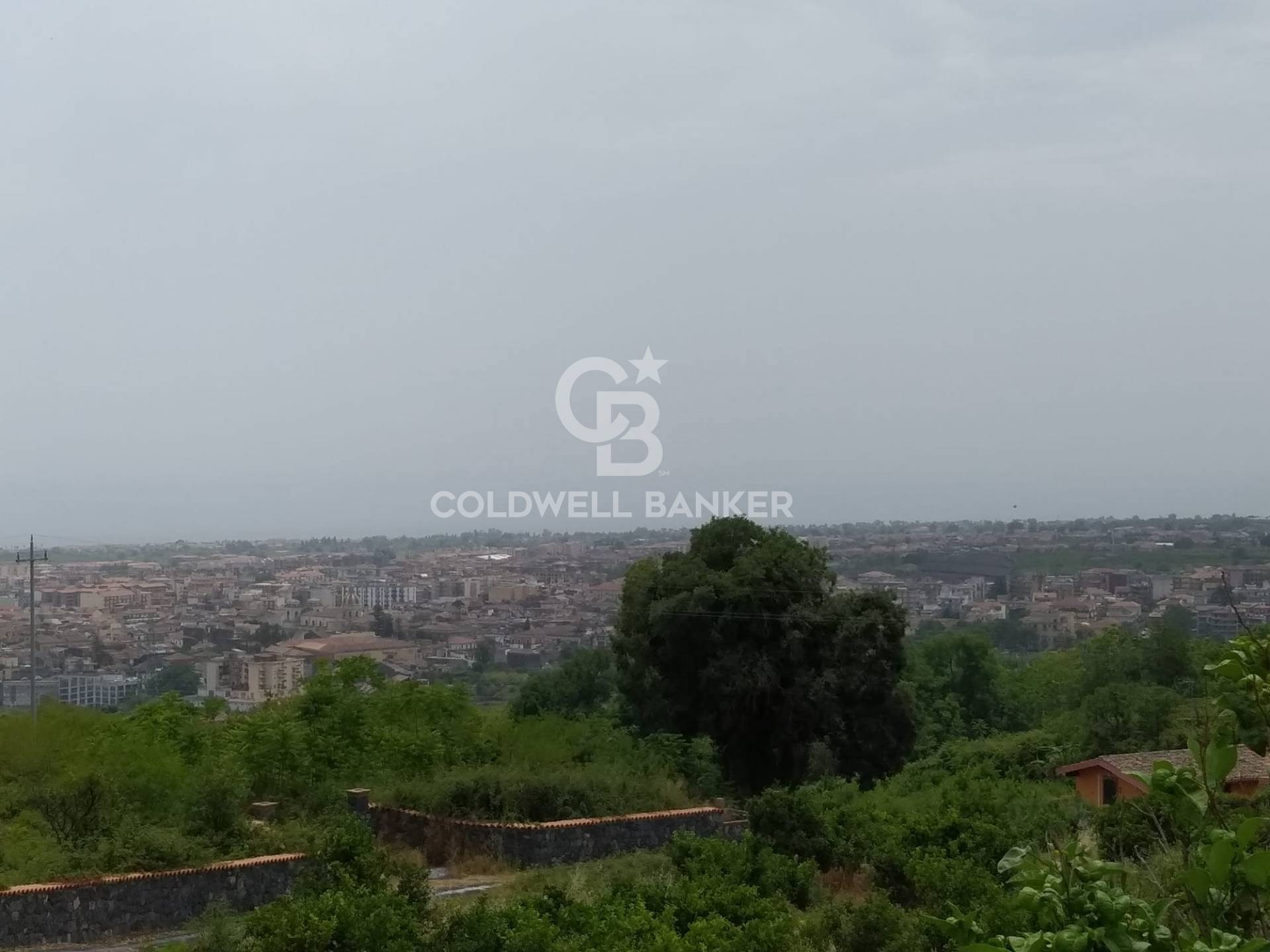 Immagine 1 di Terreno agricolo in vendita  in via Pennisi a Mascali
