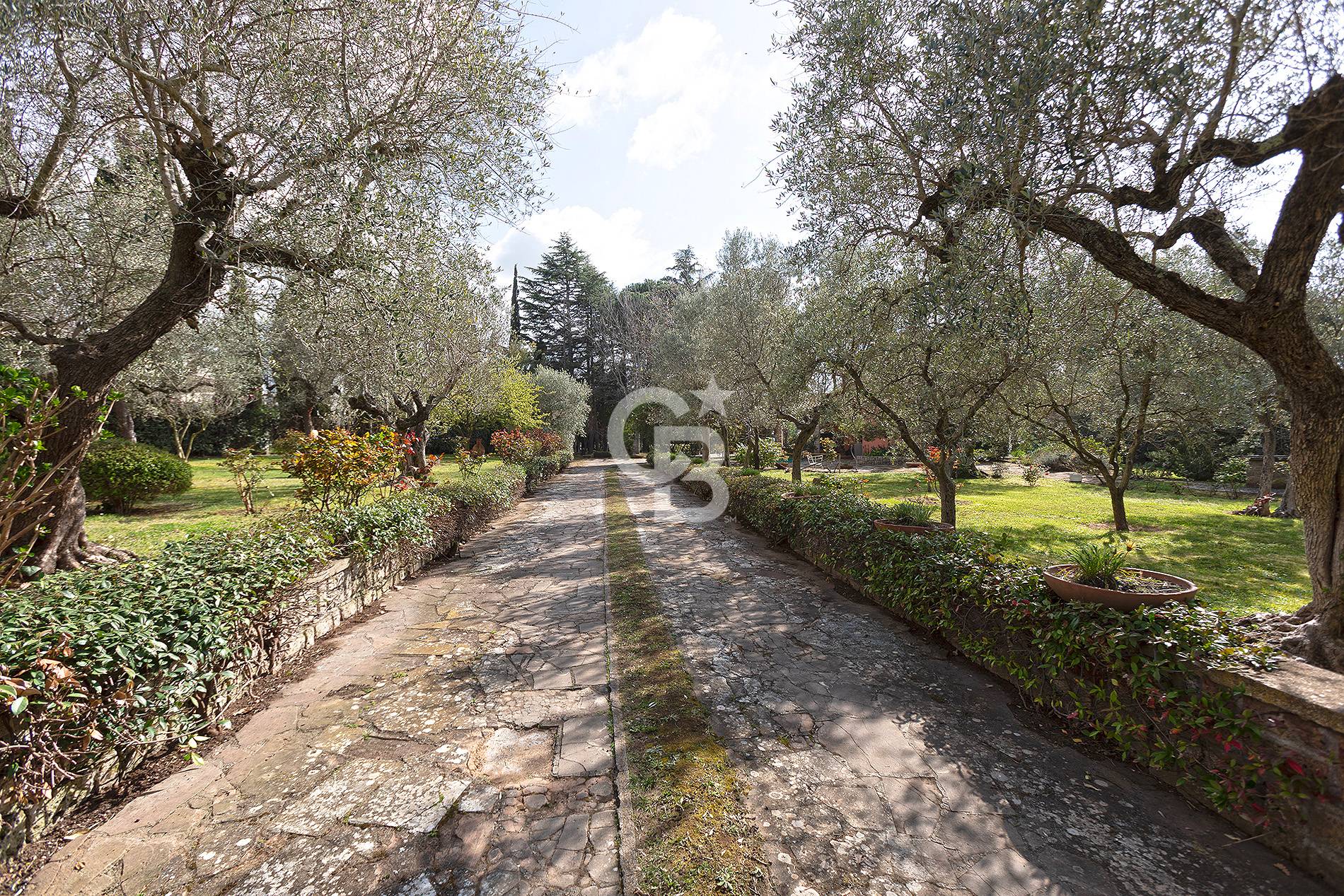 Immagine 39 di Villa in vendita  in Strada Due Casali a Viterbo