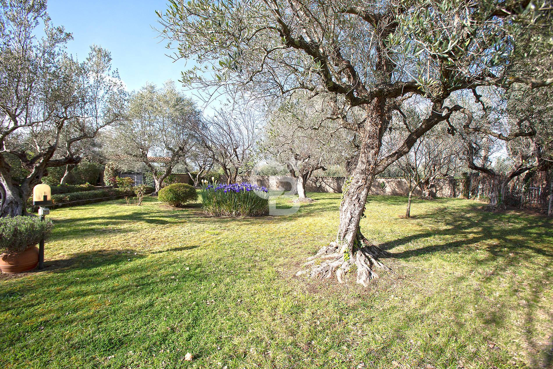 Immagine 41 di Villa in vendita  in Strada Due Casali a Viterbo