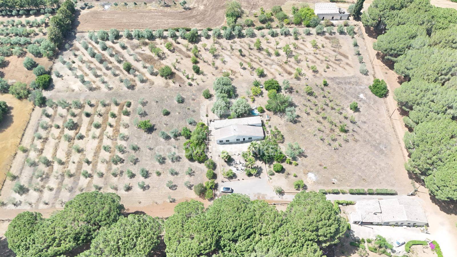 Immagine 3 di Casa indipendente in vendita  in CONTRADA PIANO CHIESA SNC a Caltagirone