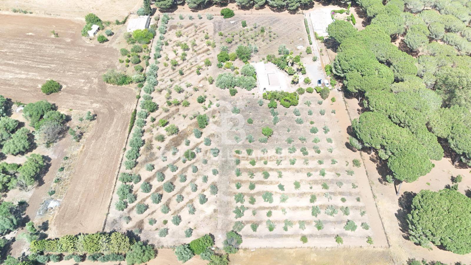 Immagine 4 di Casa indipendente in vendita  in CONTRADA PIANO CHIESA SNC a Caltagirone
