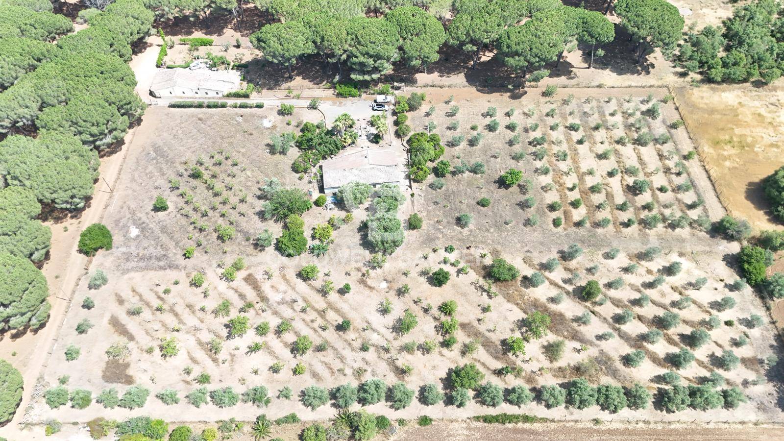 Immagine 6 di Casa indipendente in vendita  in CONTRADA PIANO CHIESA SNC a Caltagirone