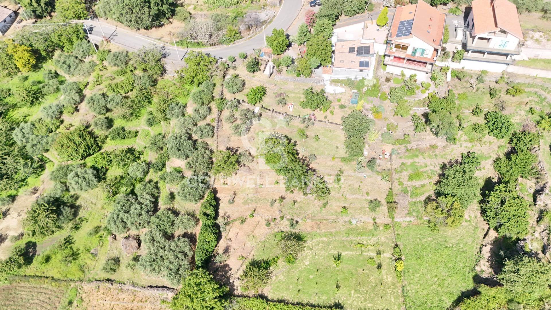 Immagine 11 di Villa in vendita  in via vena a Piedimonte Etneo