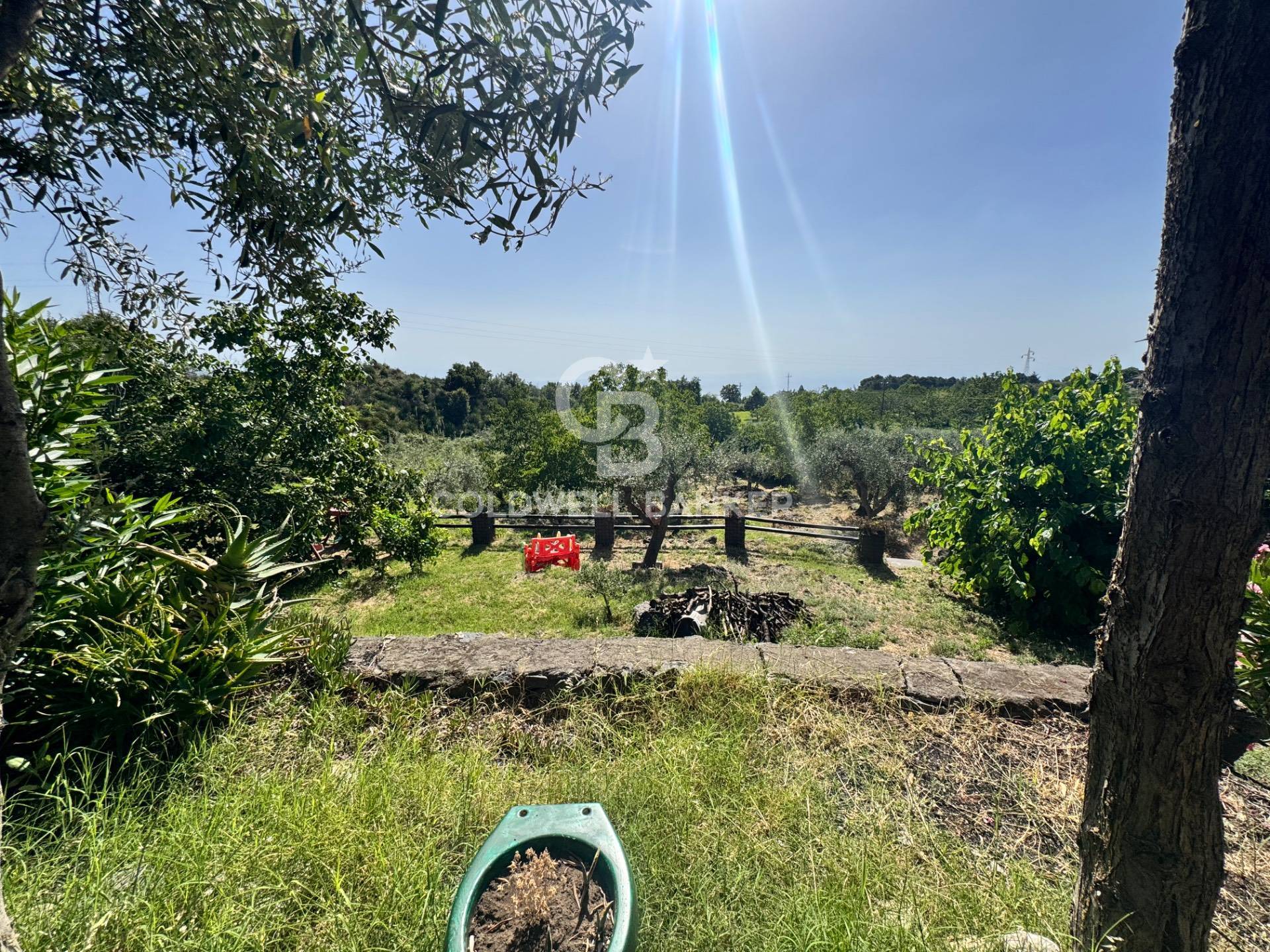 Immagine 9 di Villa in vendita  in via vena a Piedimonte Etneo