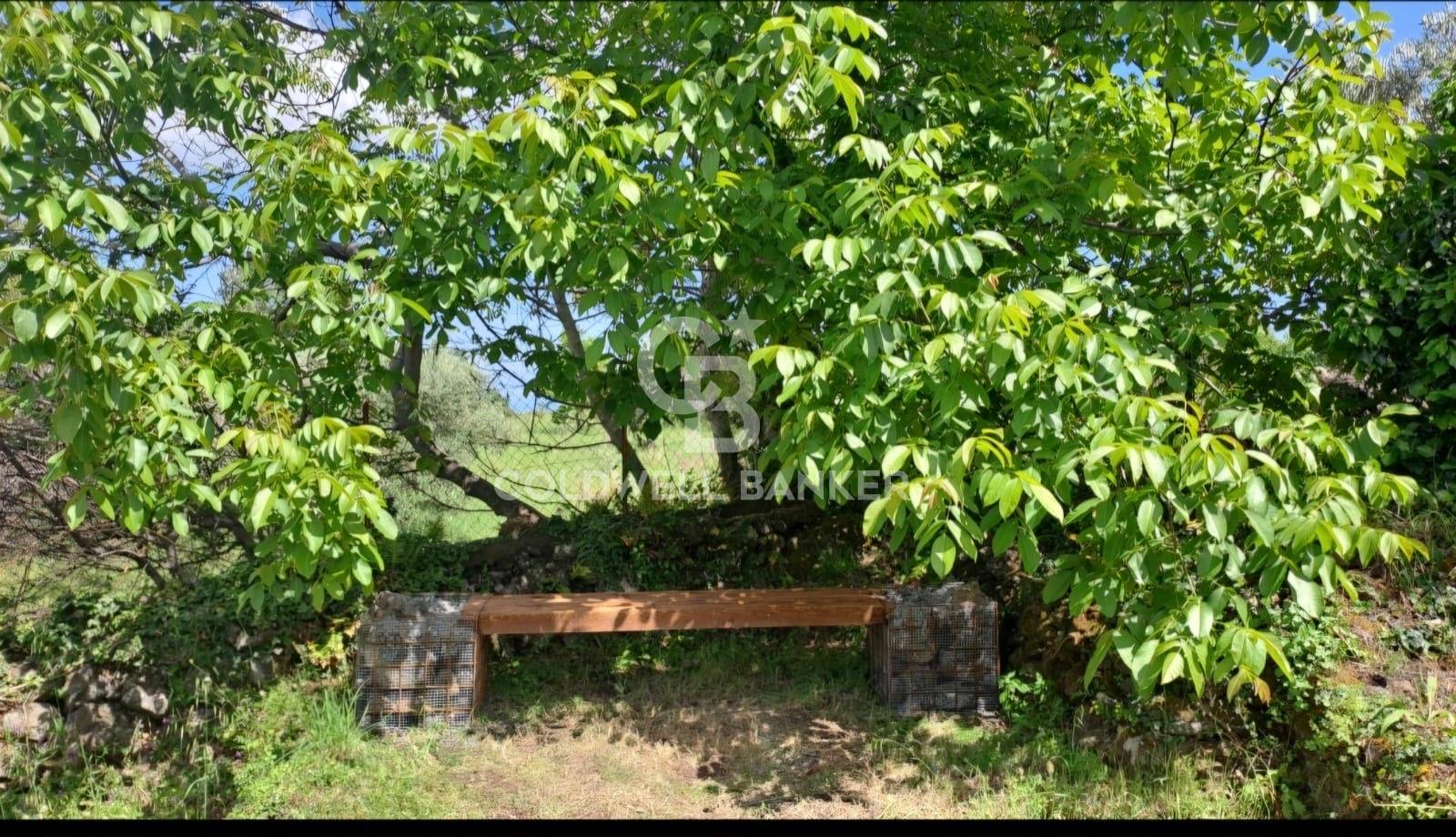 Immagine 31 di Villa in vendita  in via vena a Piedimonte Etneo