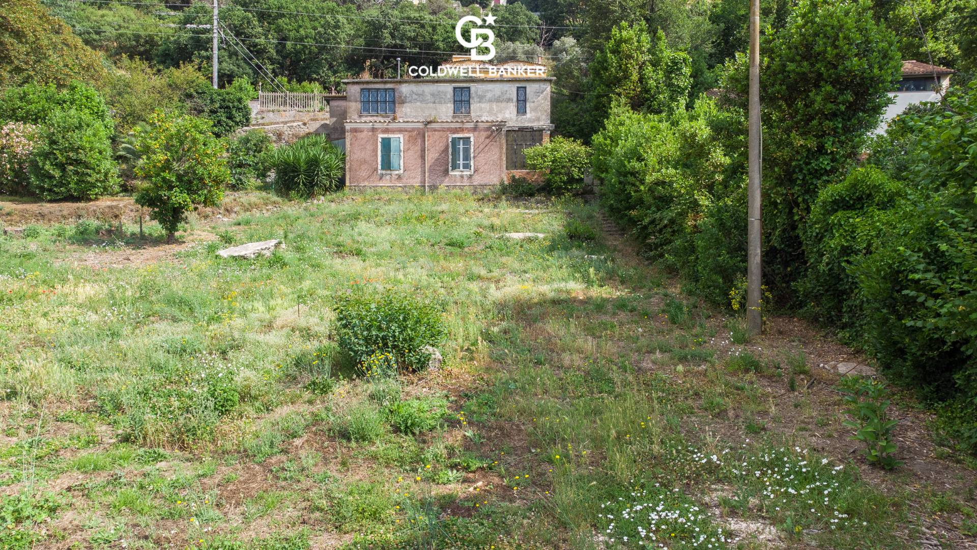 Immagine 7 di Villa in vendita  in Via Piano del Lago 7 a Castel Gandolfo