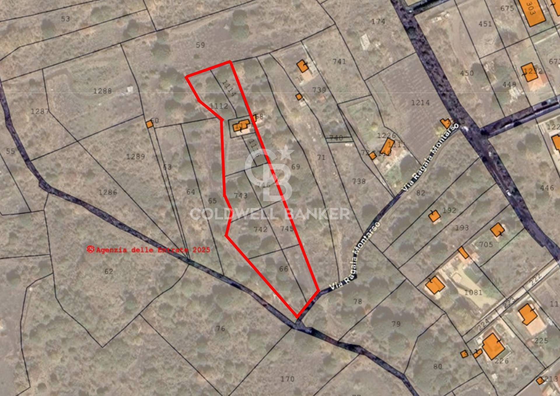 Immagine 20 di Terreno agricolo in vendita  in Via Ragala Montarso a Nicolosi