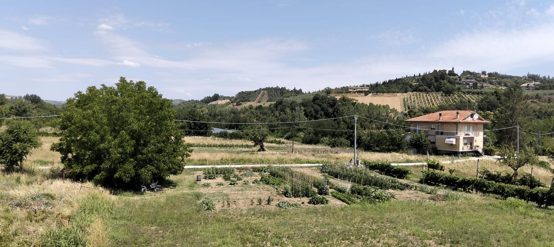 Foto annuncio 18