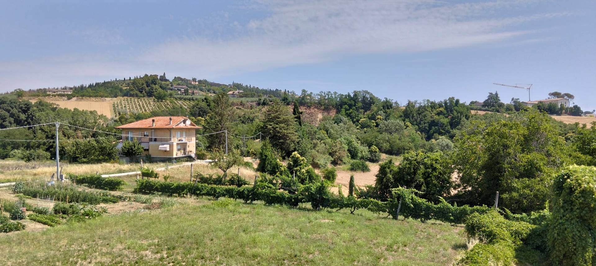 Foto annuncio 19