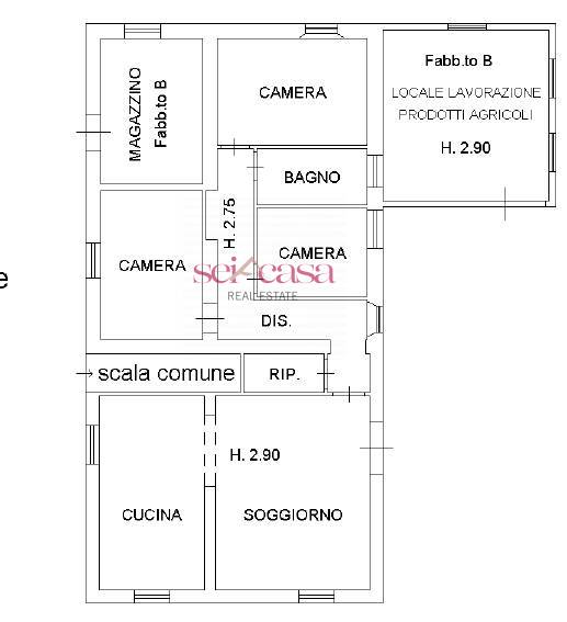 Immagine 44 di Rustico / casale in vendita  a Campagnatico
