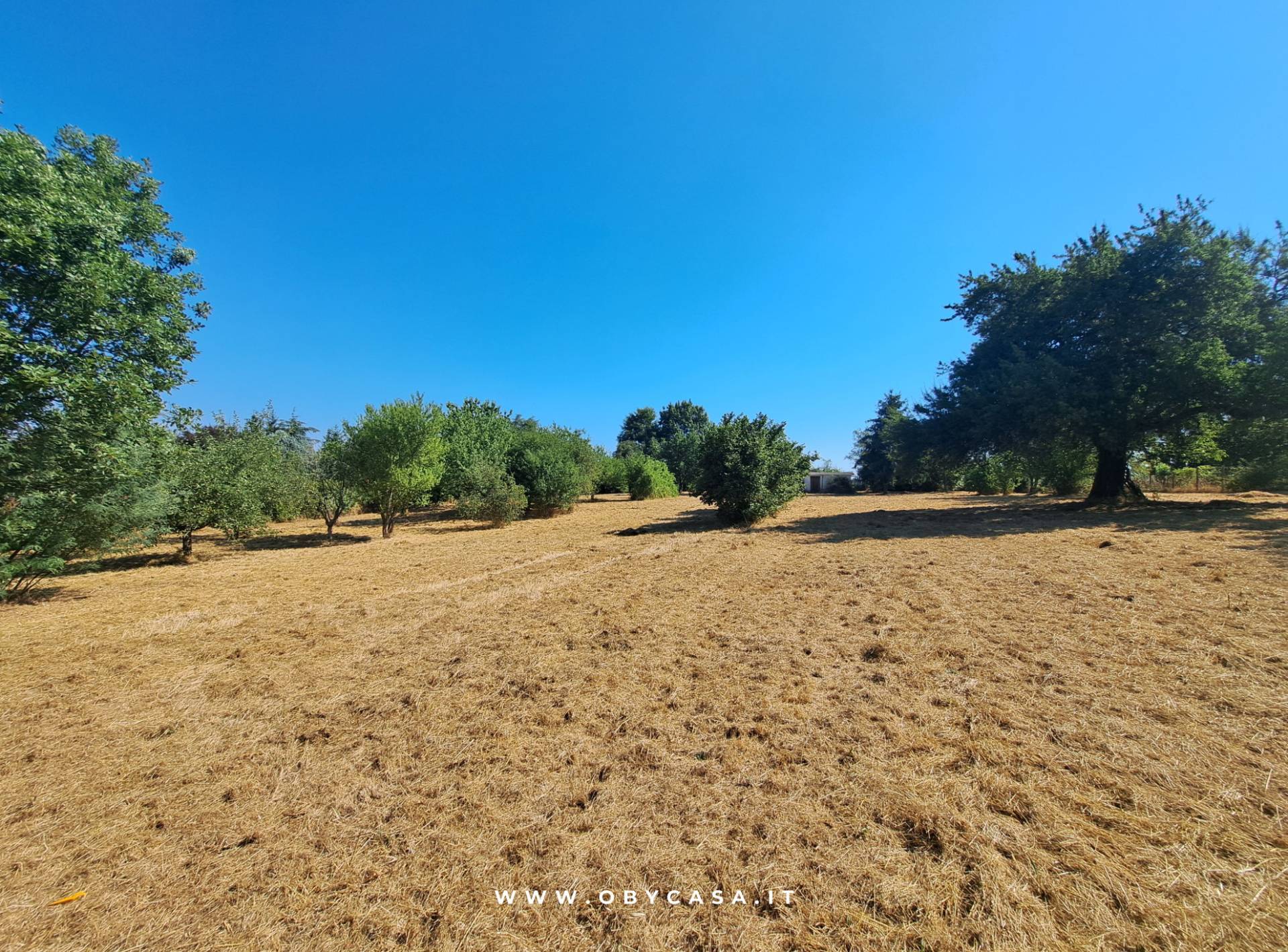 Immagine 6 di Casa indipendente in vendita  in Bassano Romano a Bassano In Teverina