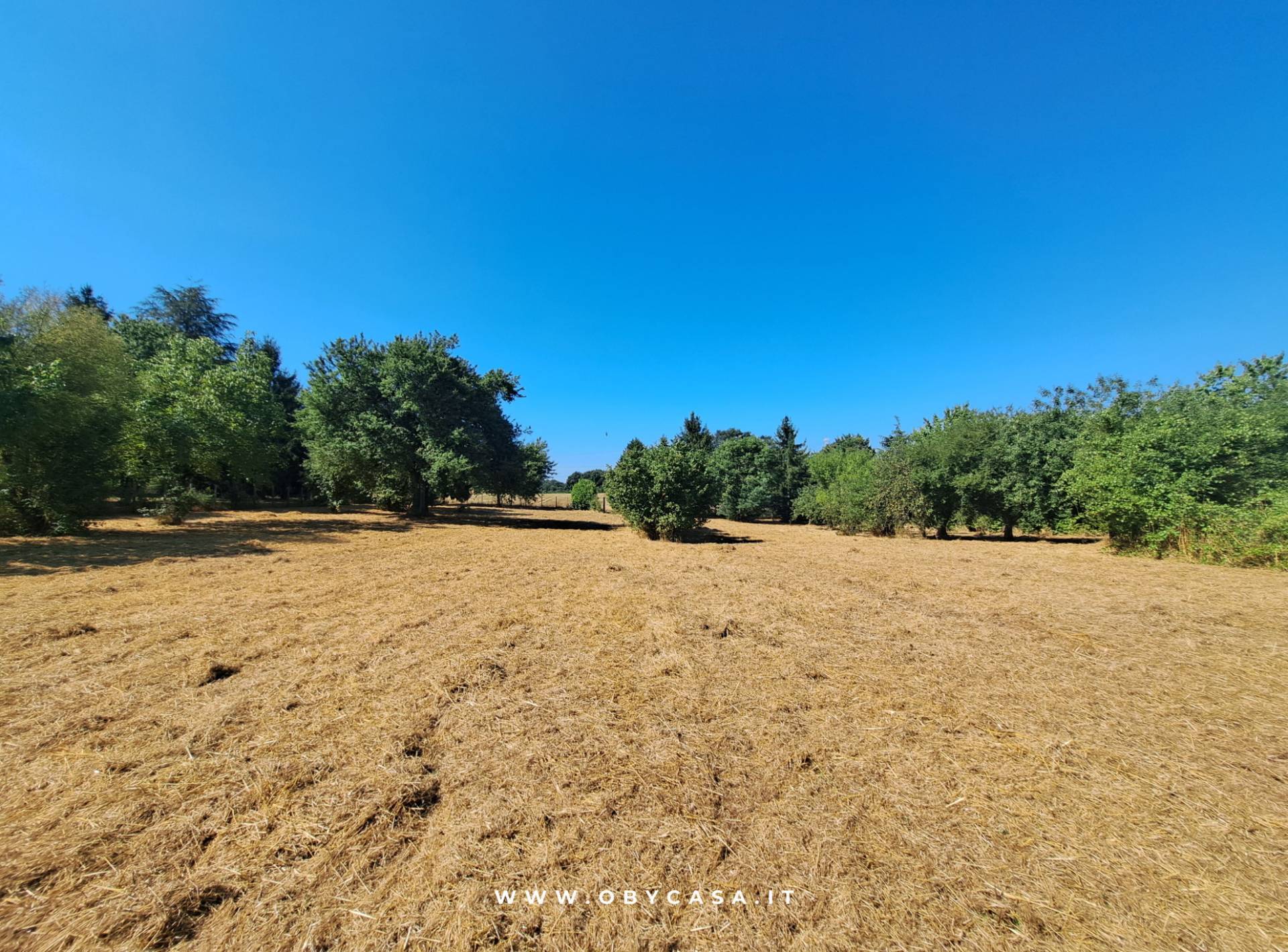 Immagine 8 di Casa indipendente in vendita  in Bassano Romano a Bassano In Teverina