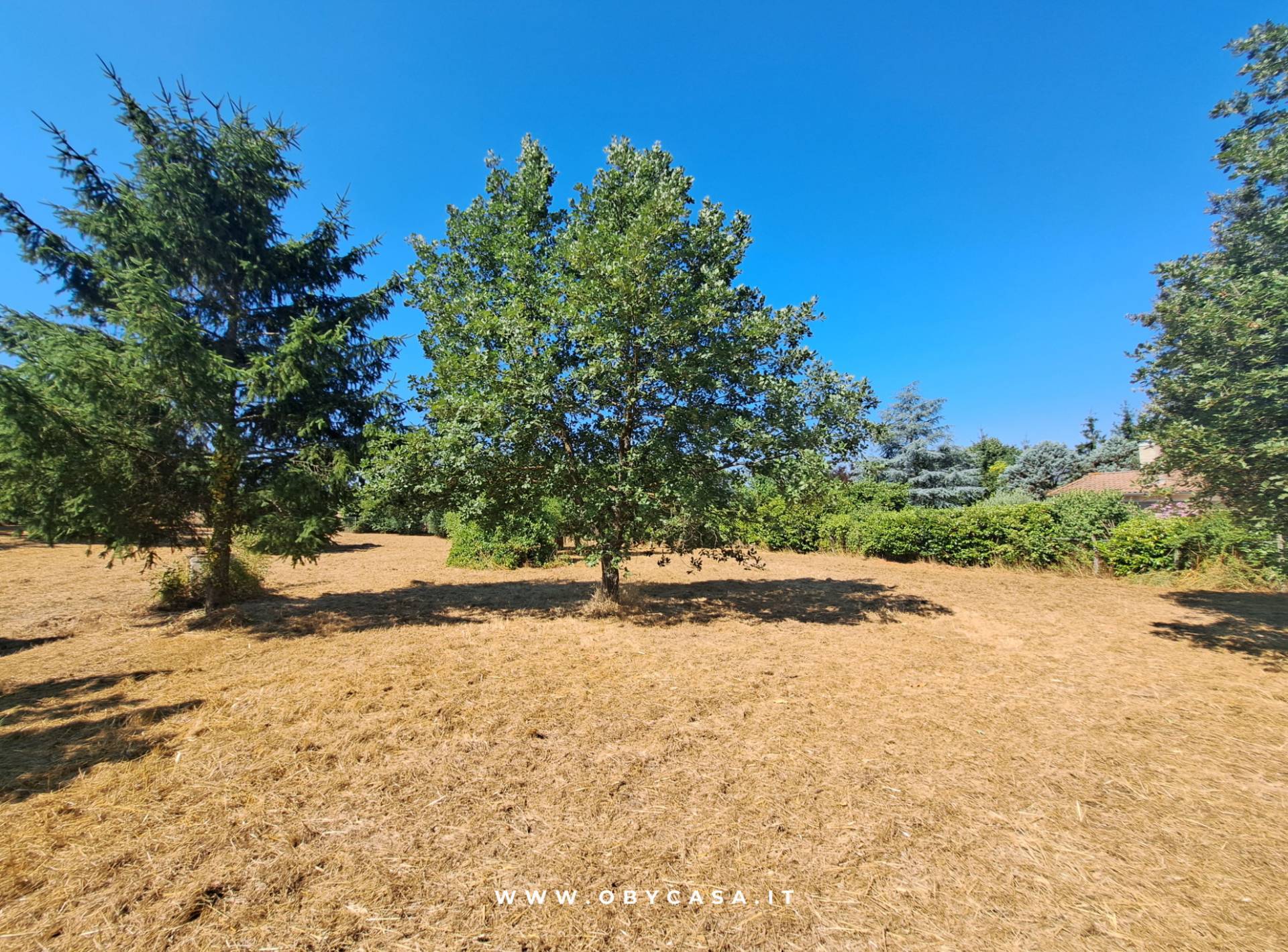 Immagine 9 di Casa indipendente in vendita  in Bassano Romano a Bassano In Teverina
