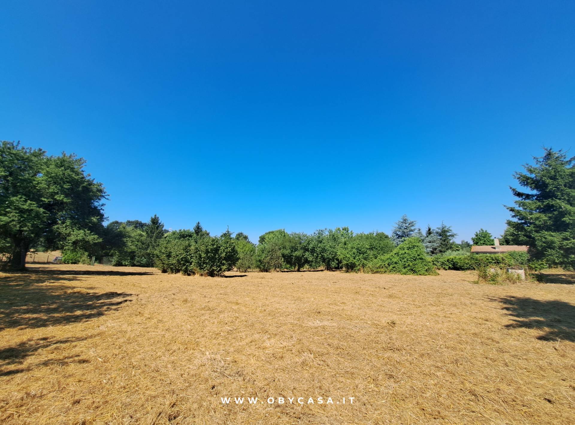 Immagine 10 di Casa indipendente in vendita  in Bassano Romano a Bassano In Teverina