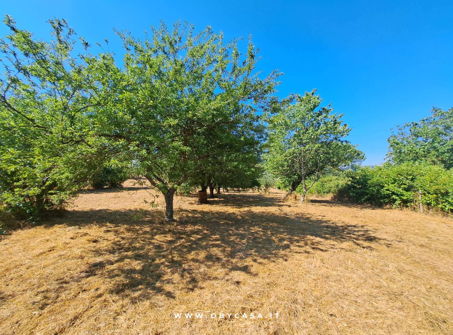 Immagine 11 di Casa indipendente in vendita  in Bassano Romano a Bassano In Teverina