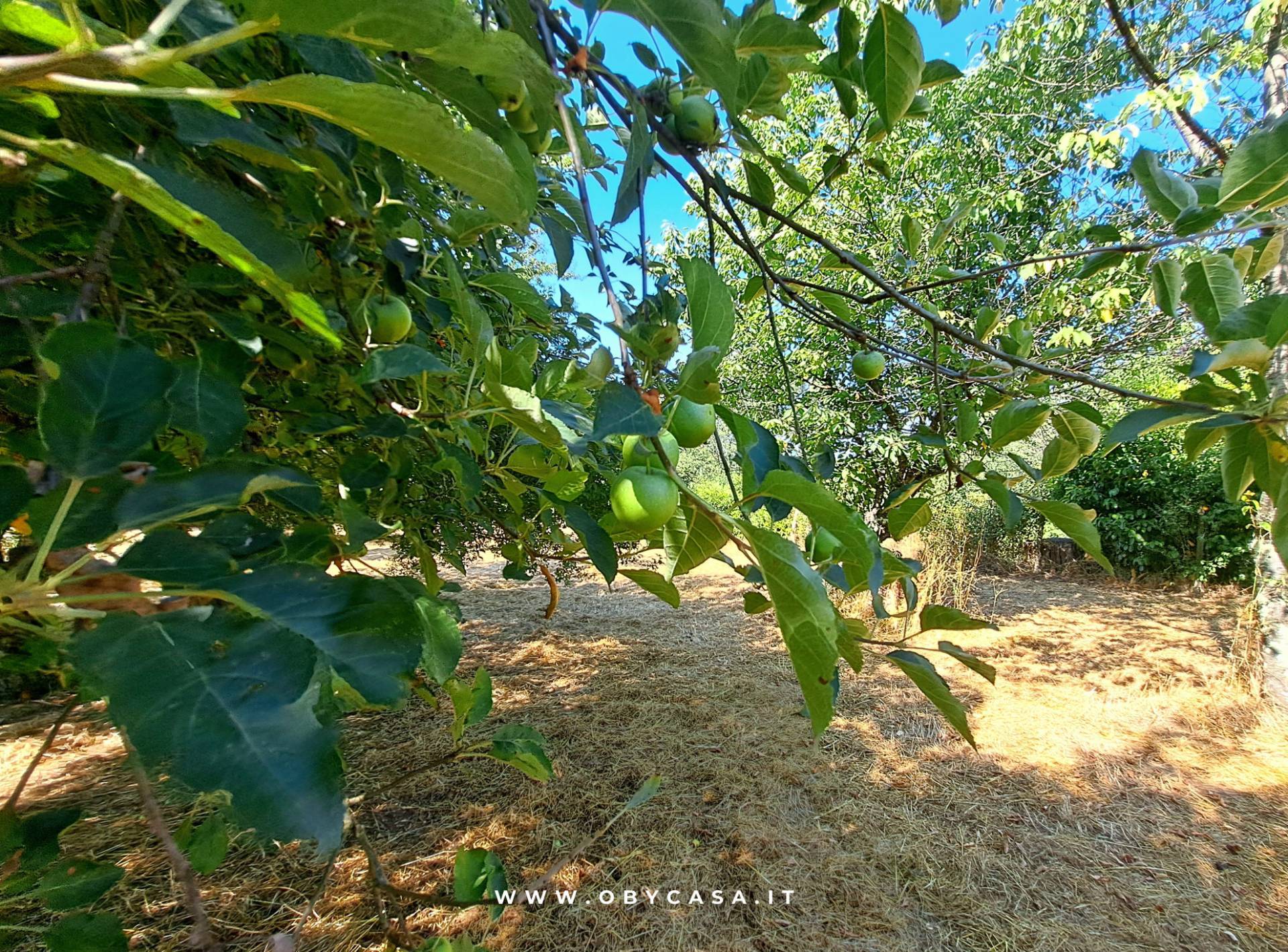Immagine 12 di Casa indipendente in vendita  in Bassano Romano a Bassano In Teverina