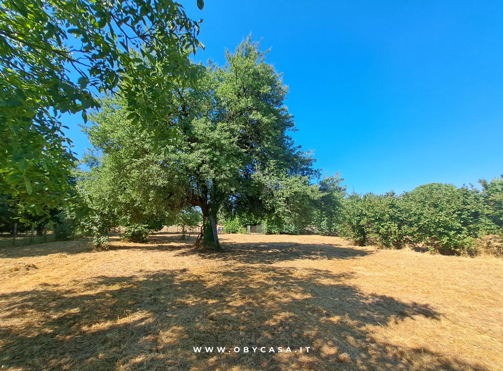 Immagine 13 di Casa indipendente in vendita  in Bassano Romano a Bassano In Teverina