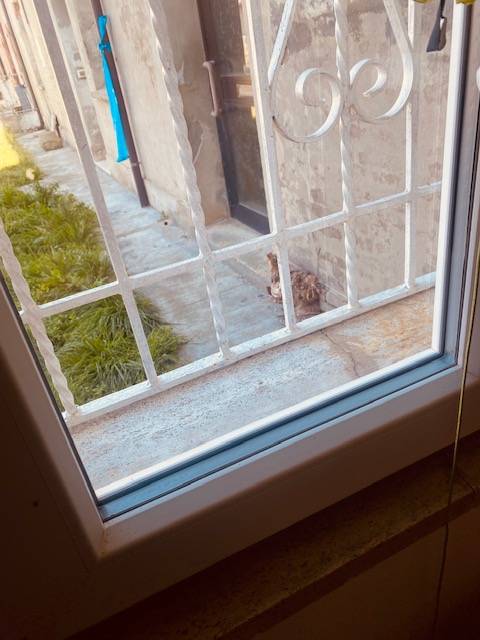 Foto annuncio 17