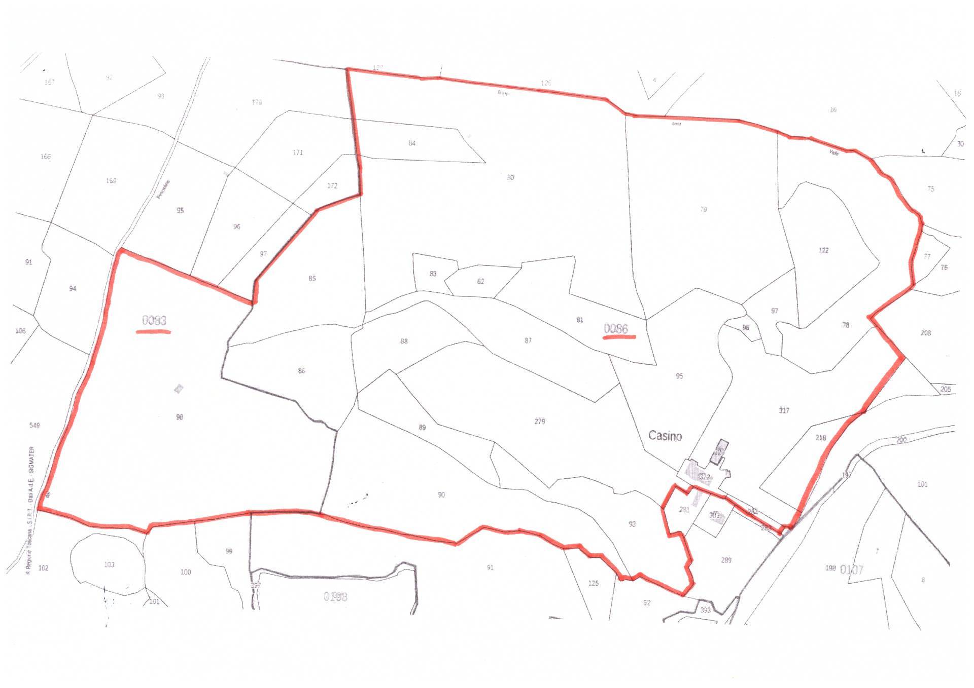 Immagine 41 di Azienda agricola in vendita  a Montespertoli