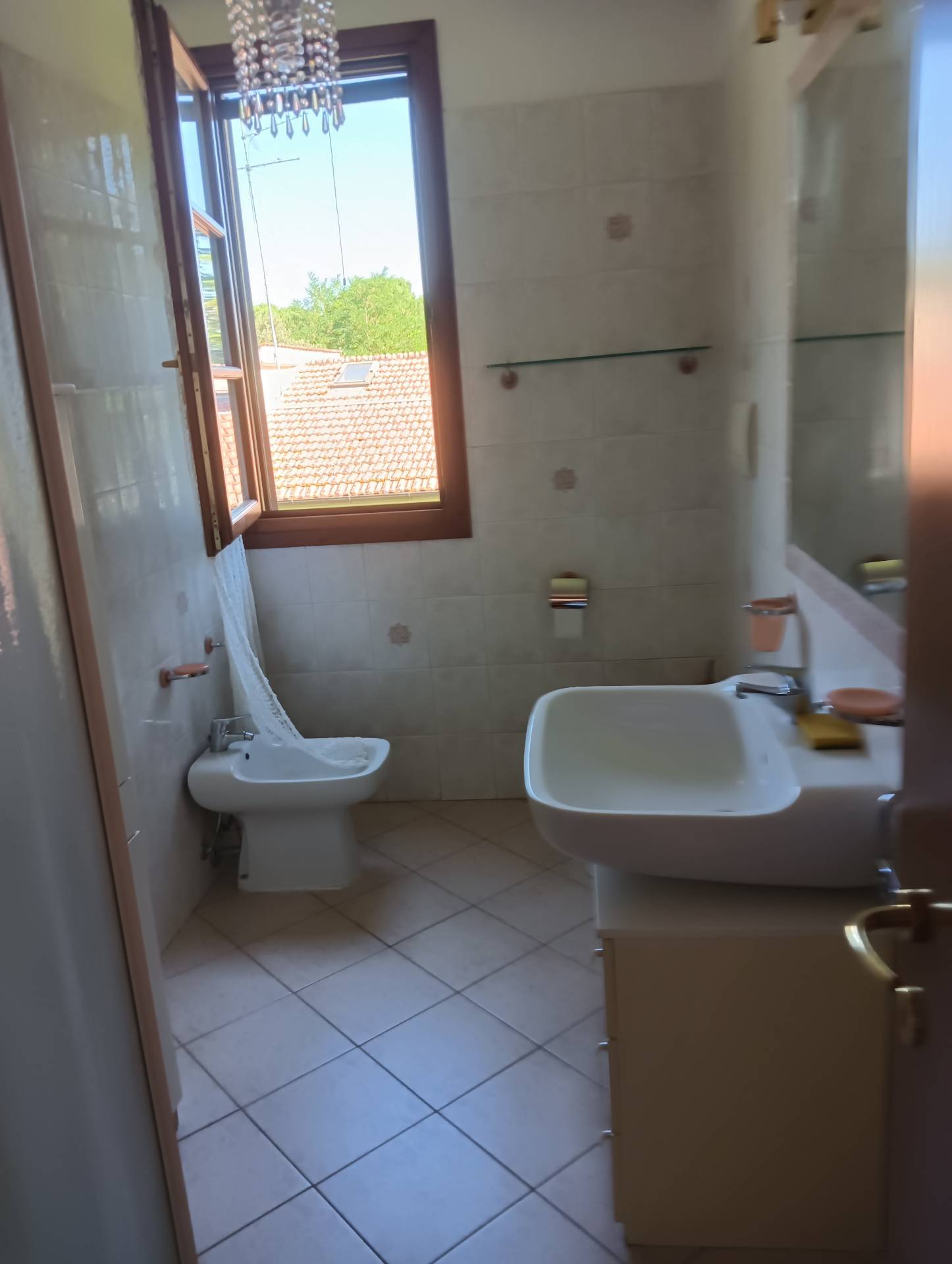 Foto annuncio 8