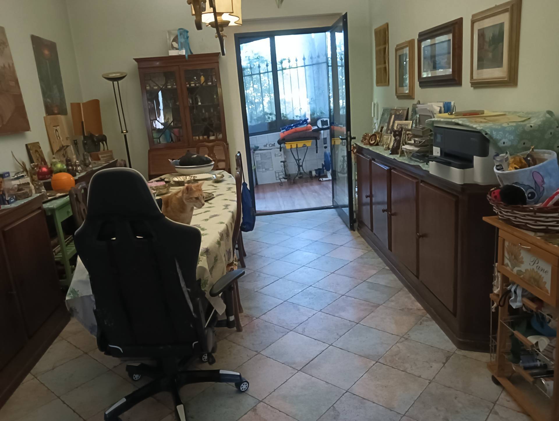 Foto annuncio 11