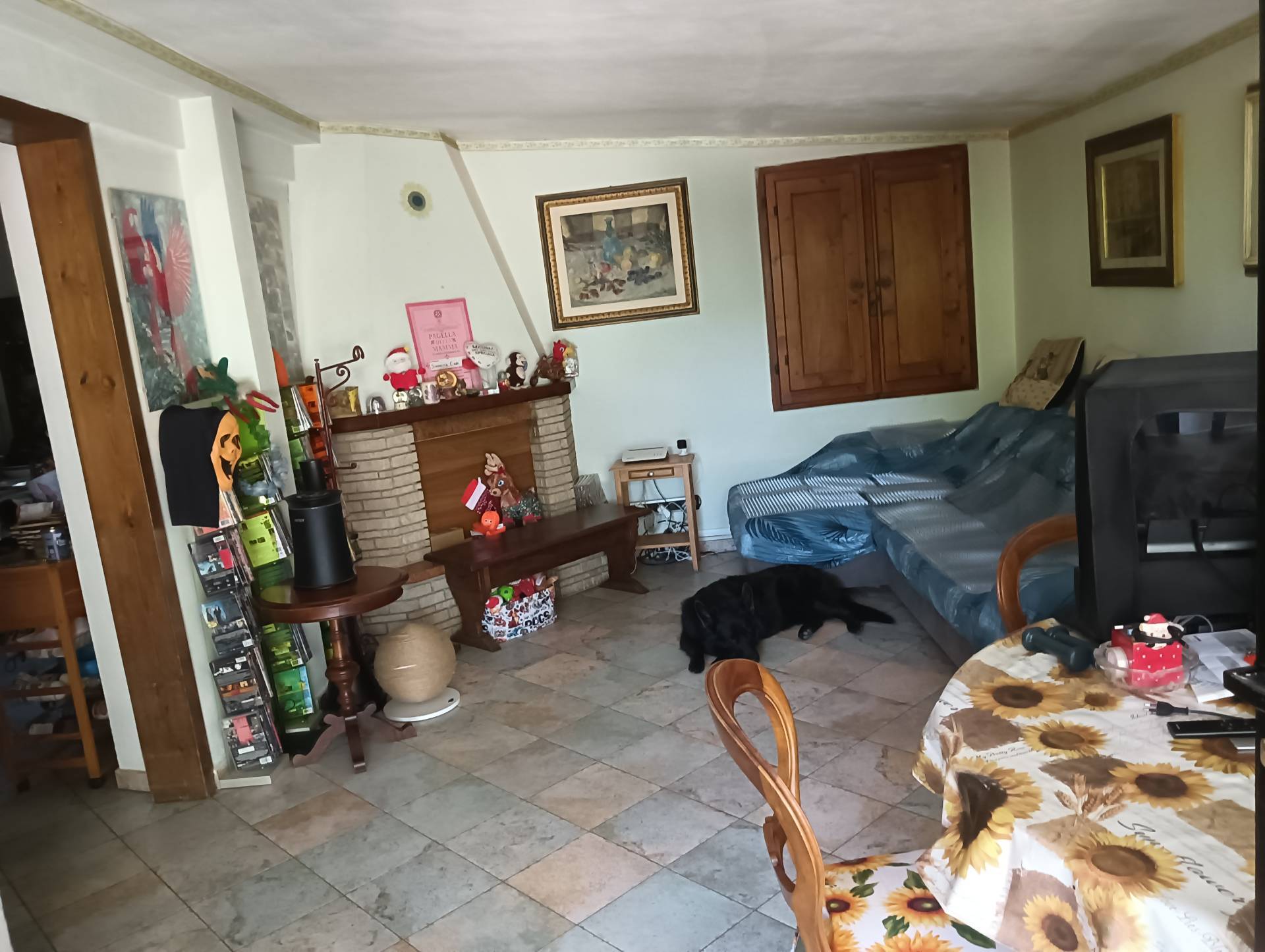 Foto annuncio 12