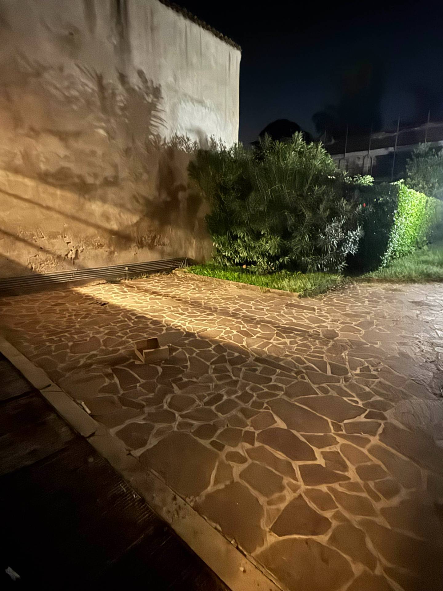 Foto annuncio 23