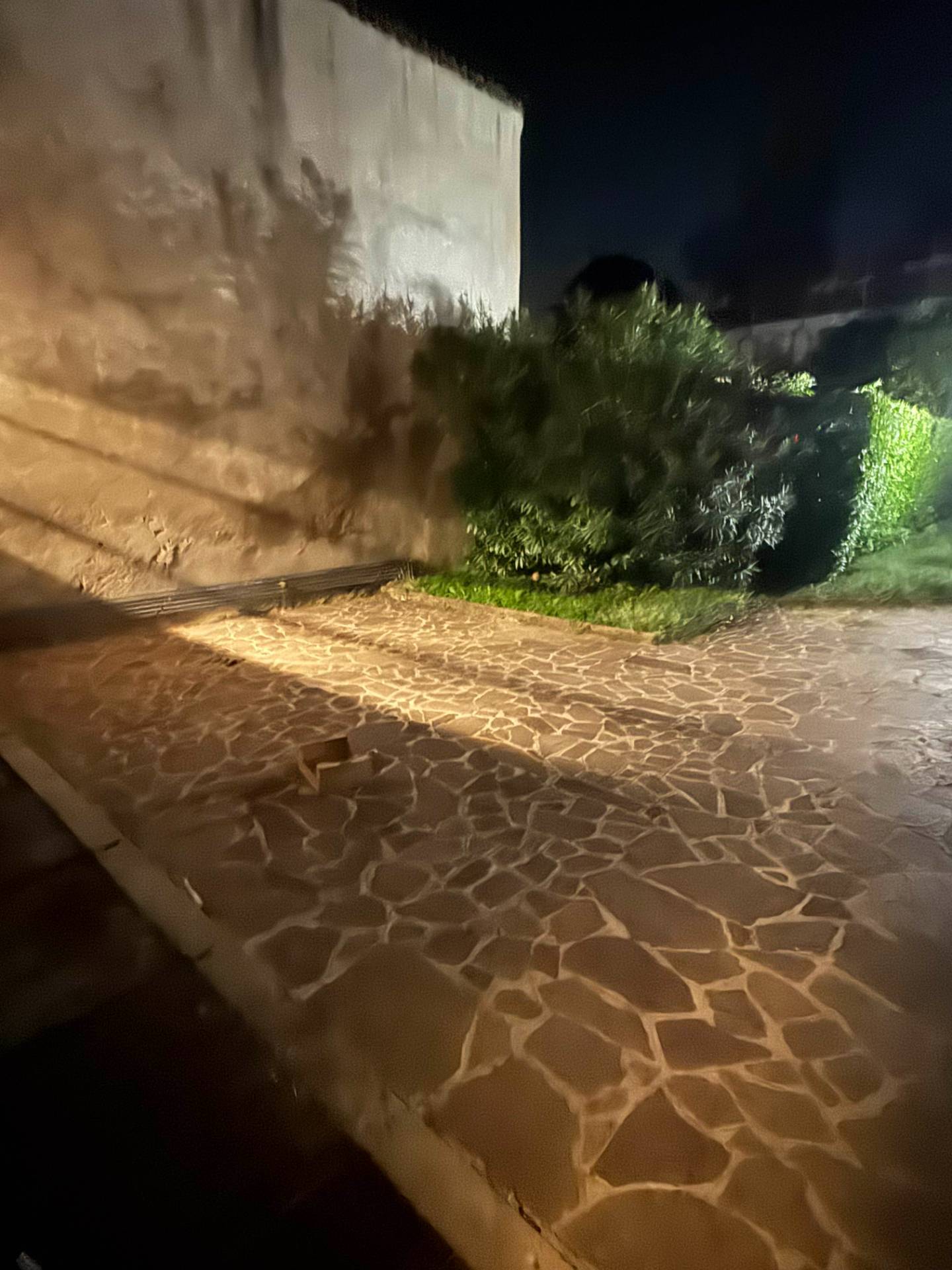 Foto annuncio 28