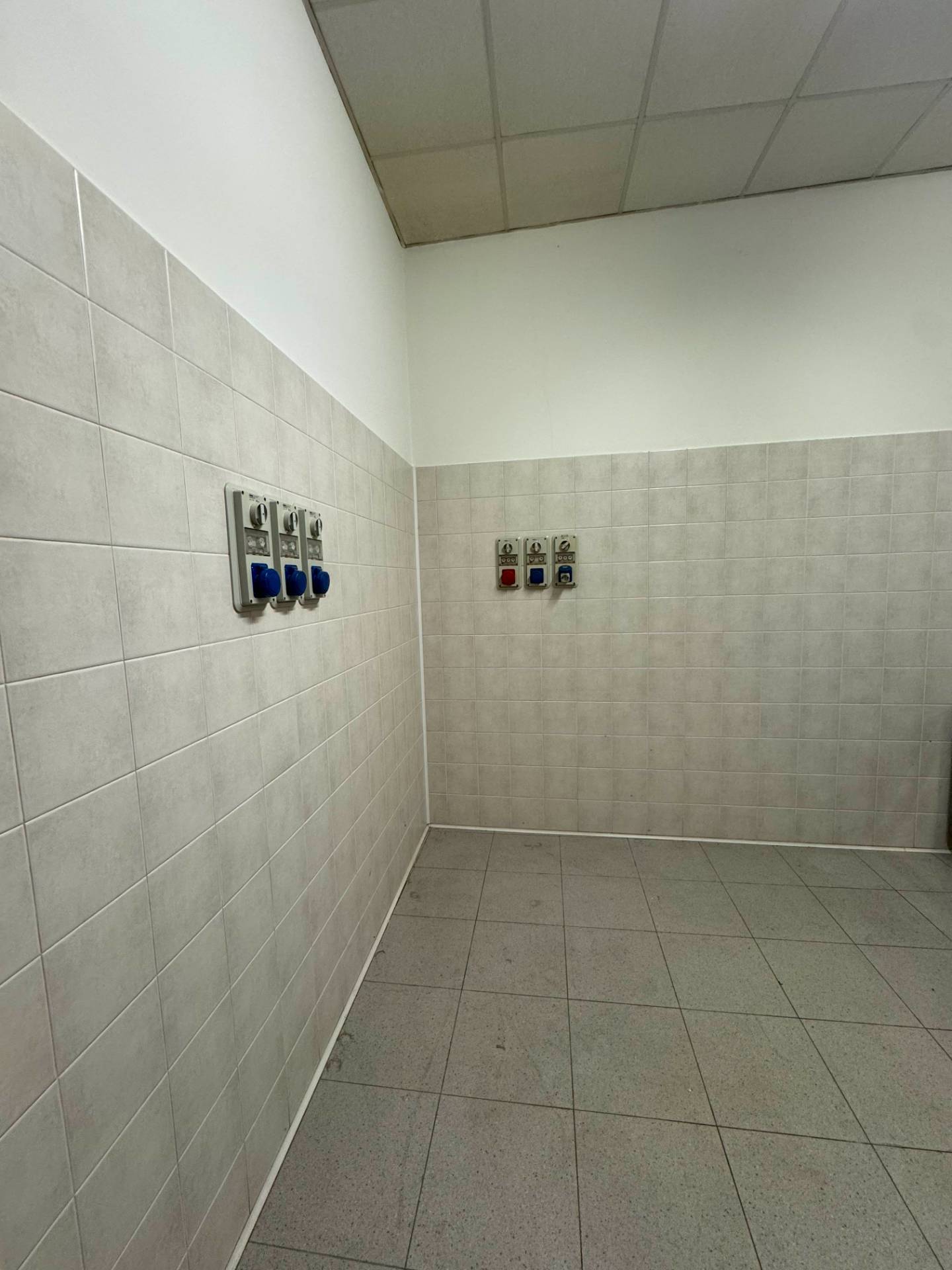Foto annuncio 40