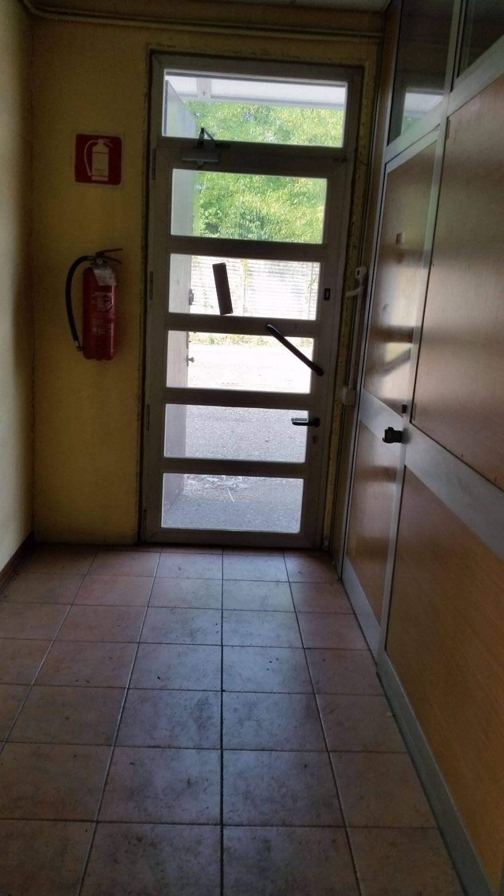 Foto annuncio 3