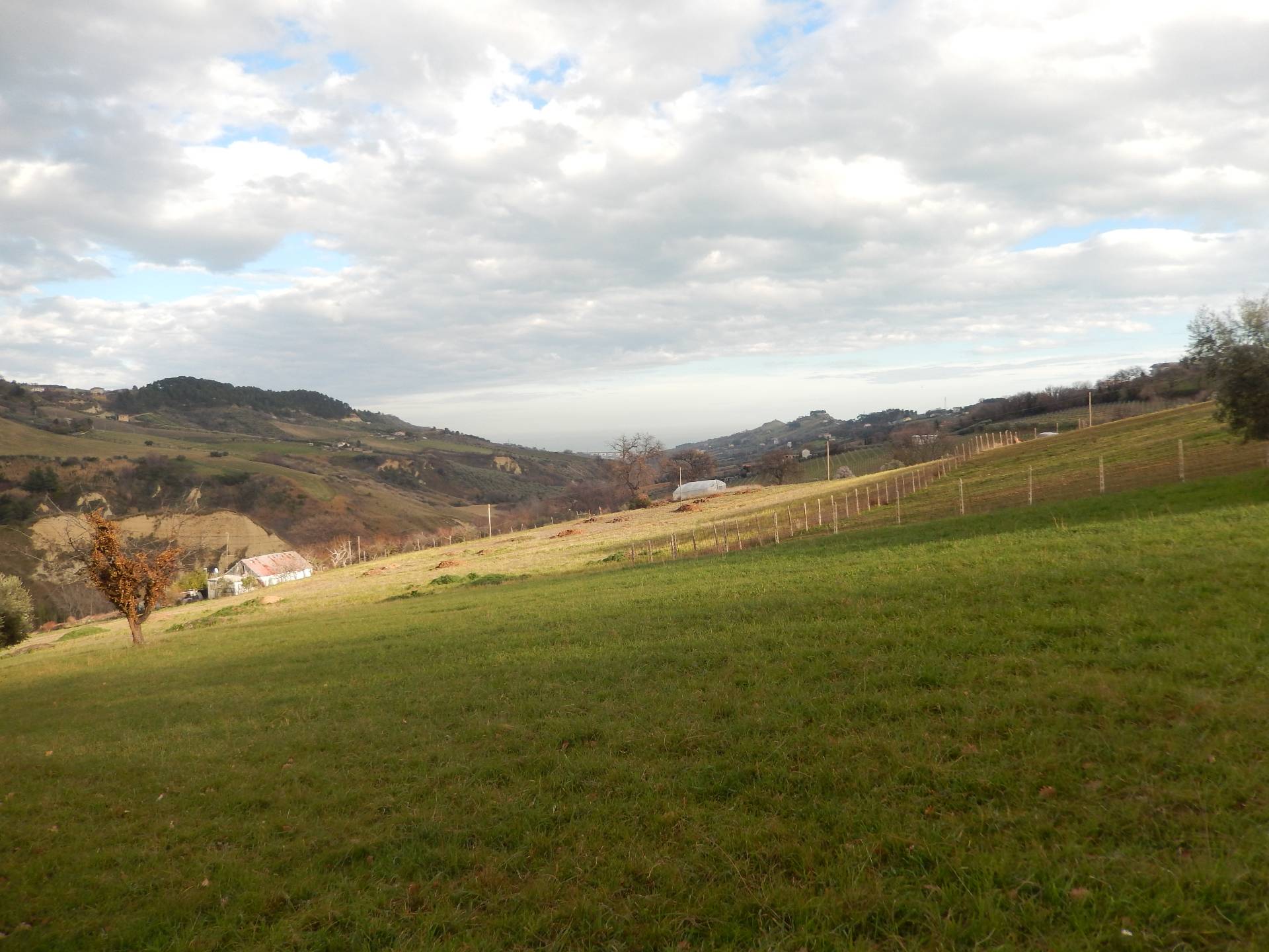 Foto annuncio 6