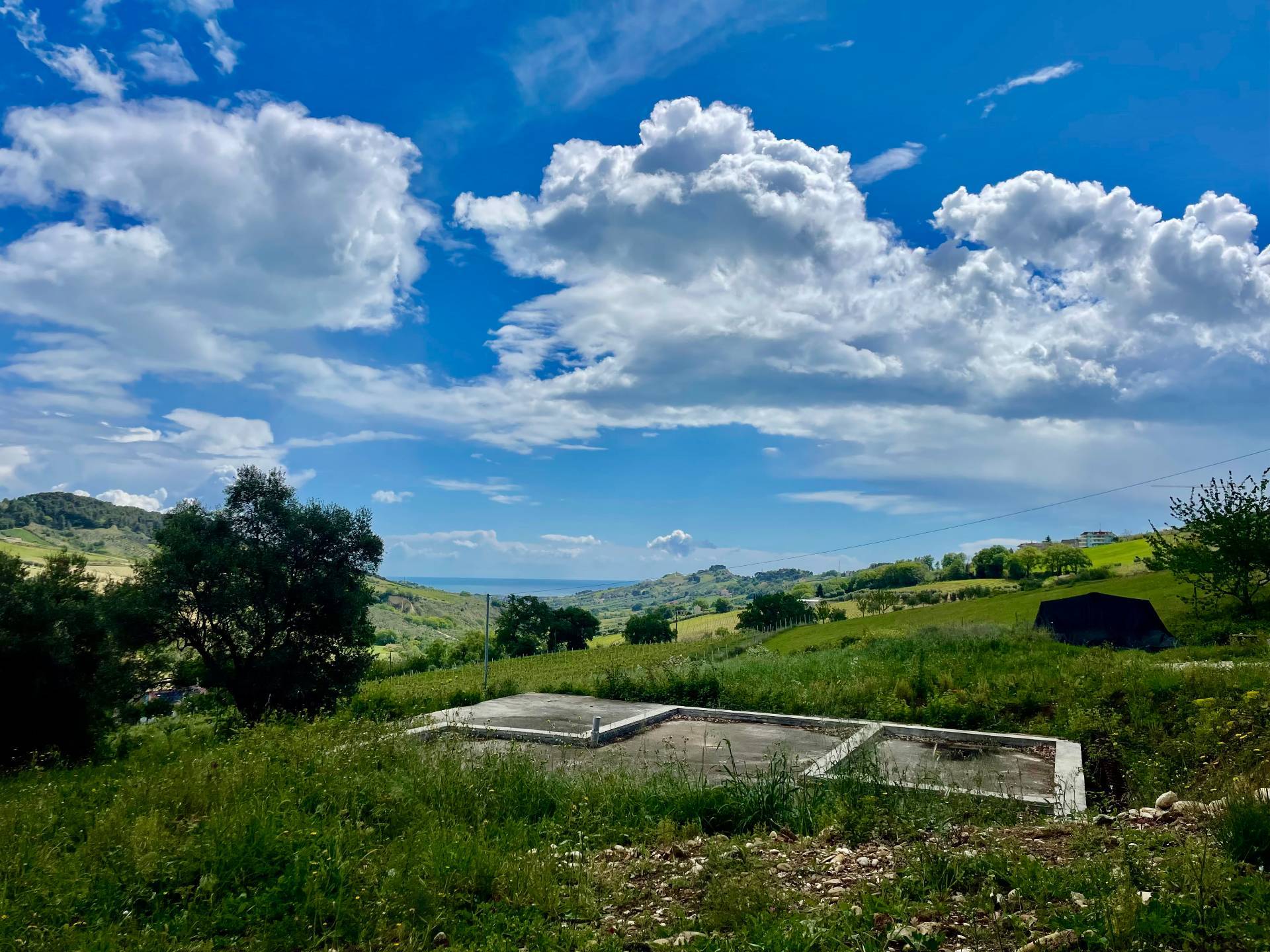 Foto annuncio 1