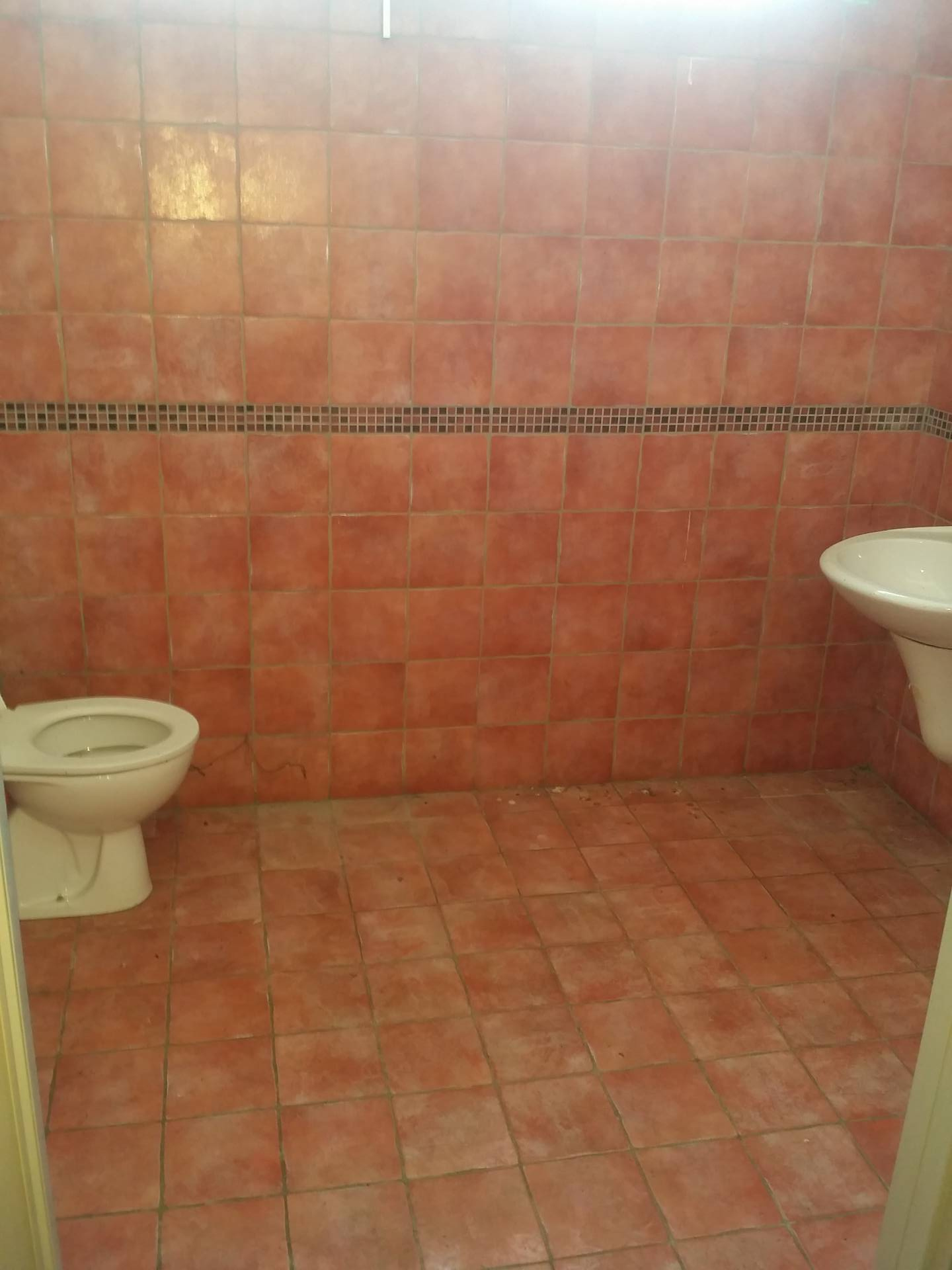 Immagine 7 di Attività commerciale in affitto  a Cerreto Guidi