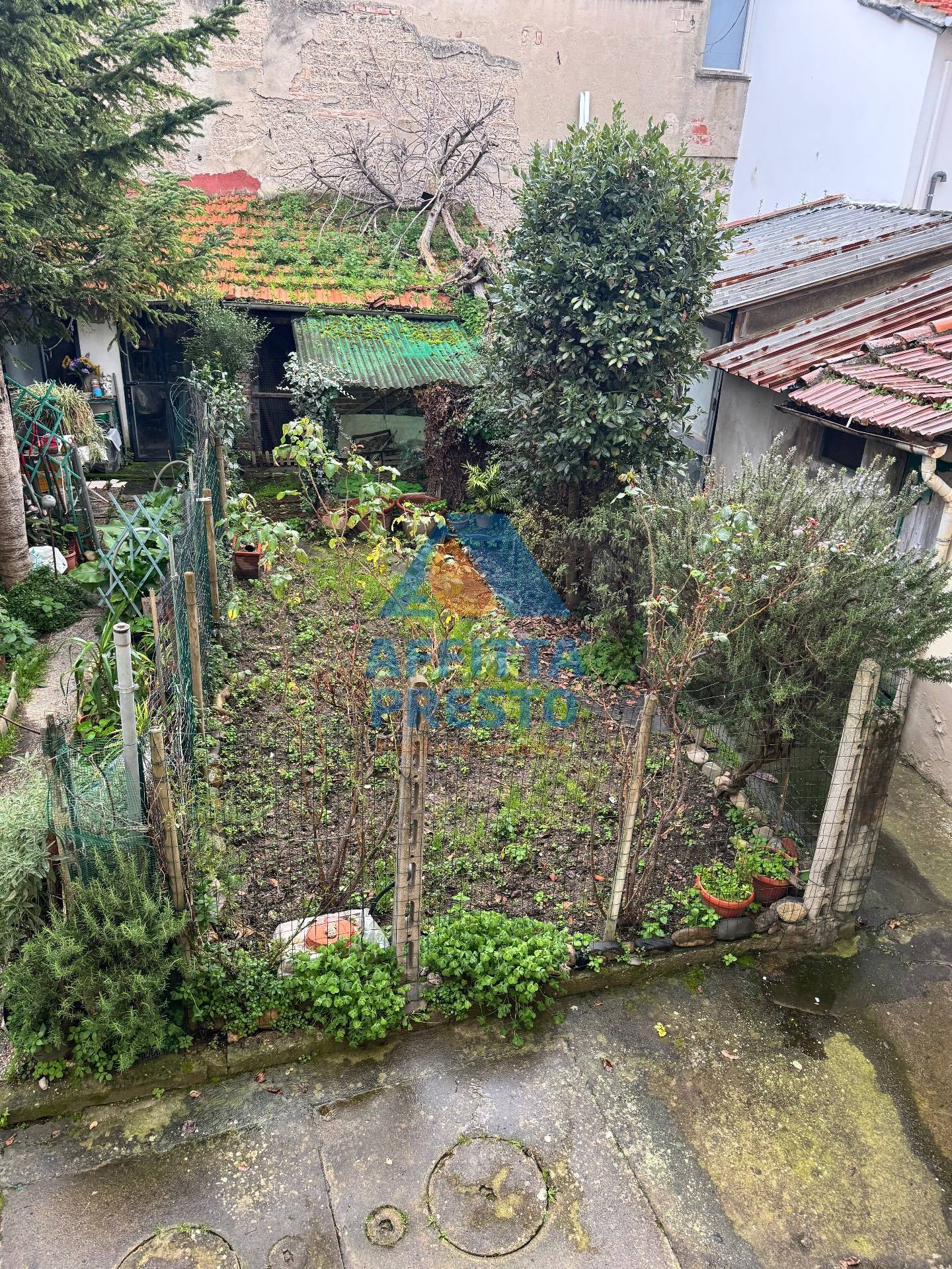 Foto annuncio 11