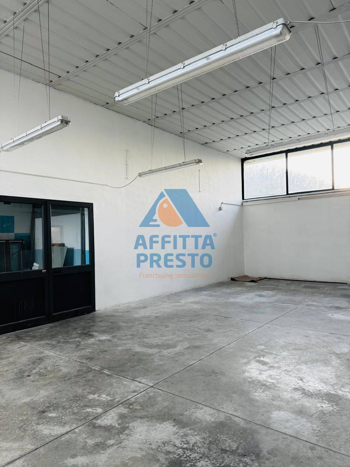 Foto annuncio 7