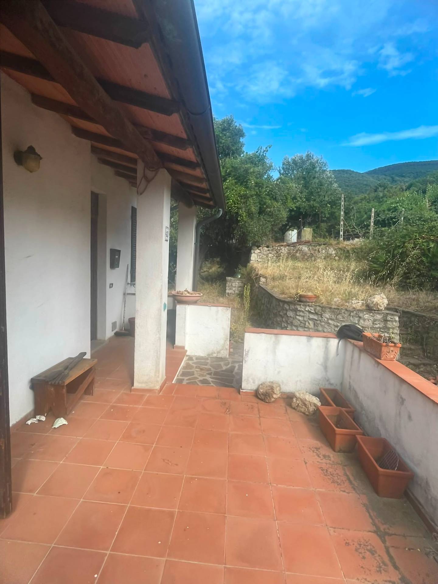 Foto annuncio 5