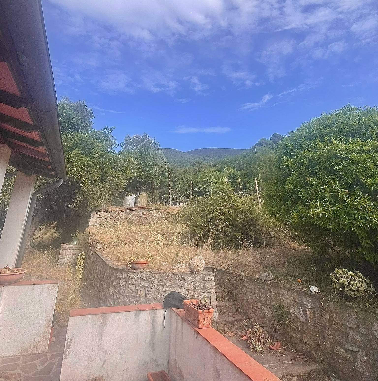 Foto annuncio 9