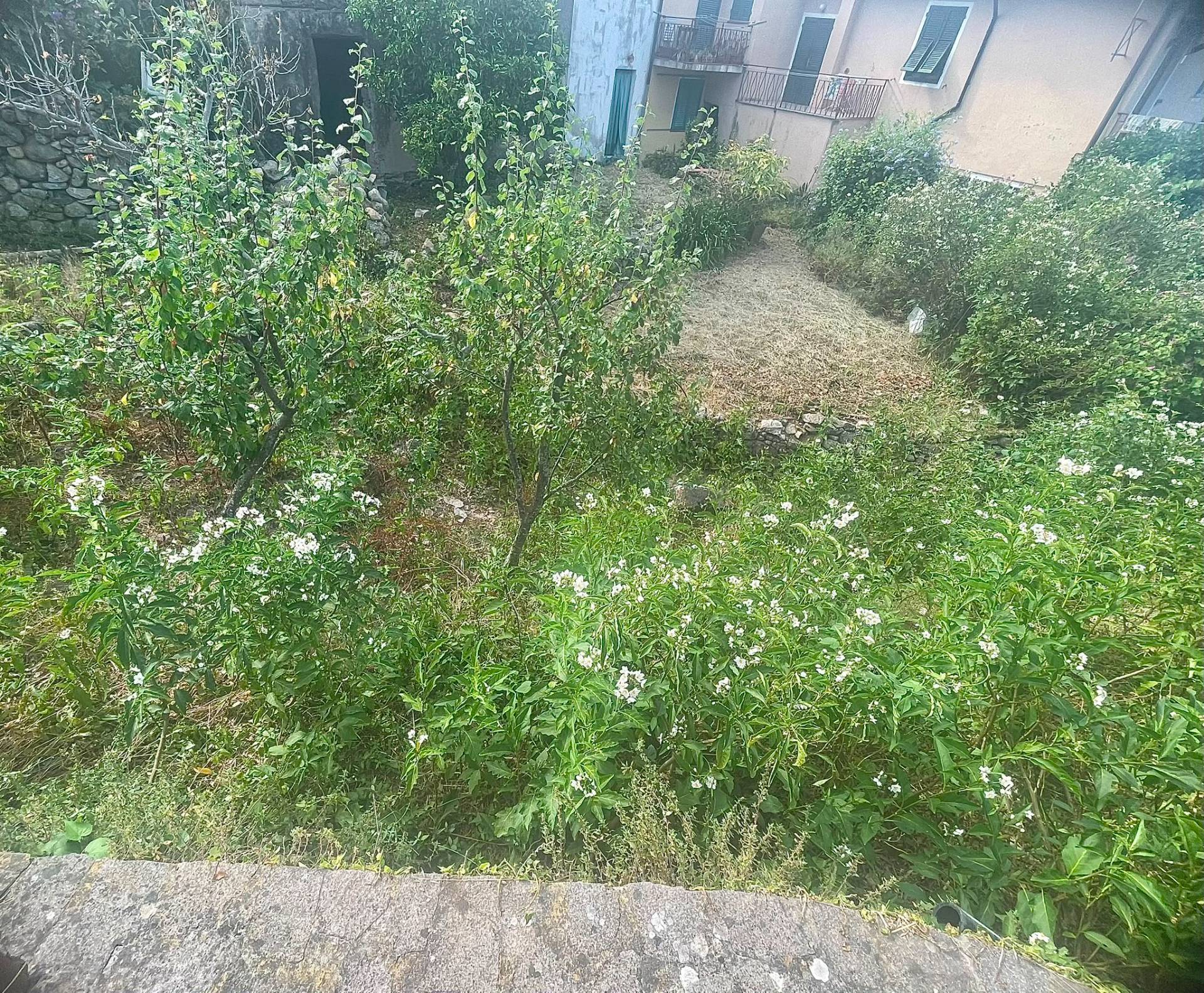 Foto annuncio 10