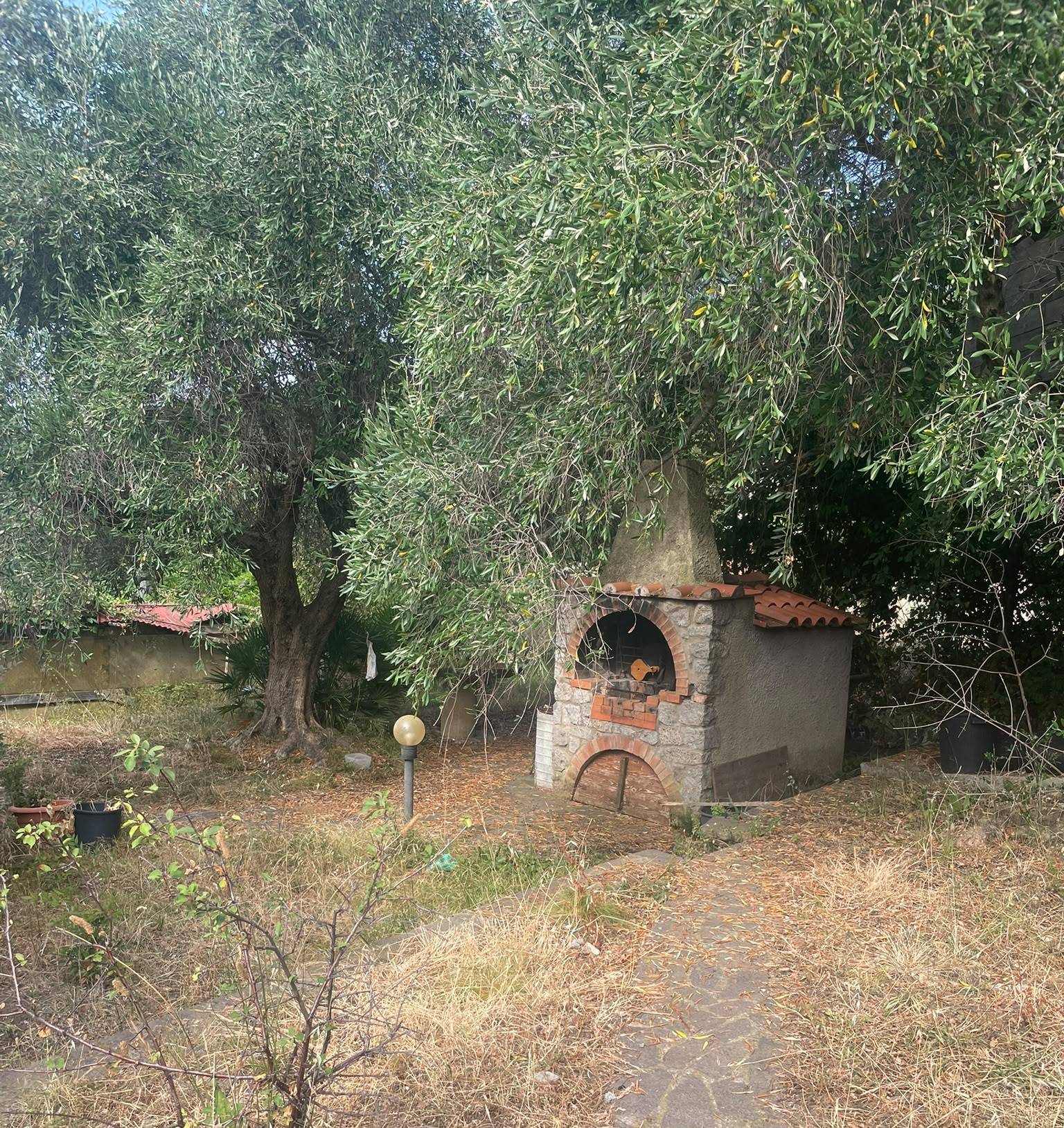Foto annuncio 12