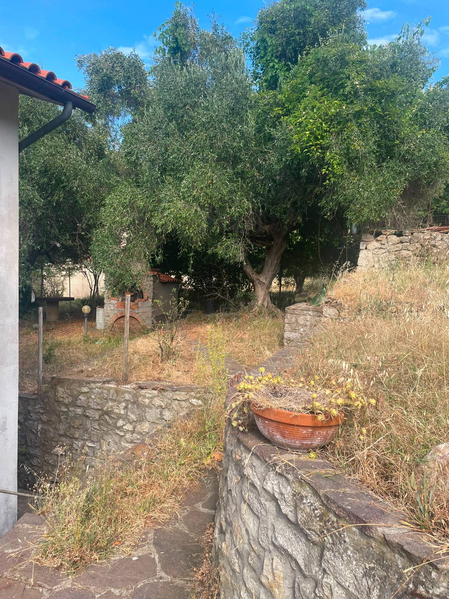 Foto annuncio 20