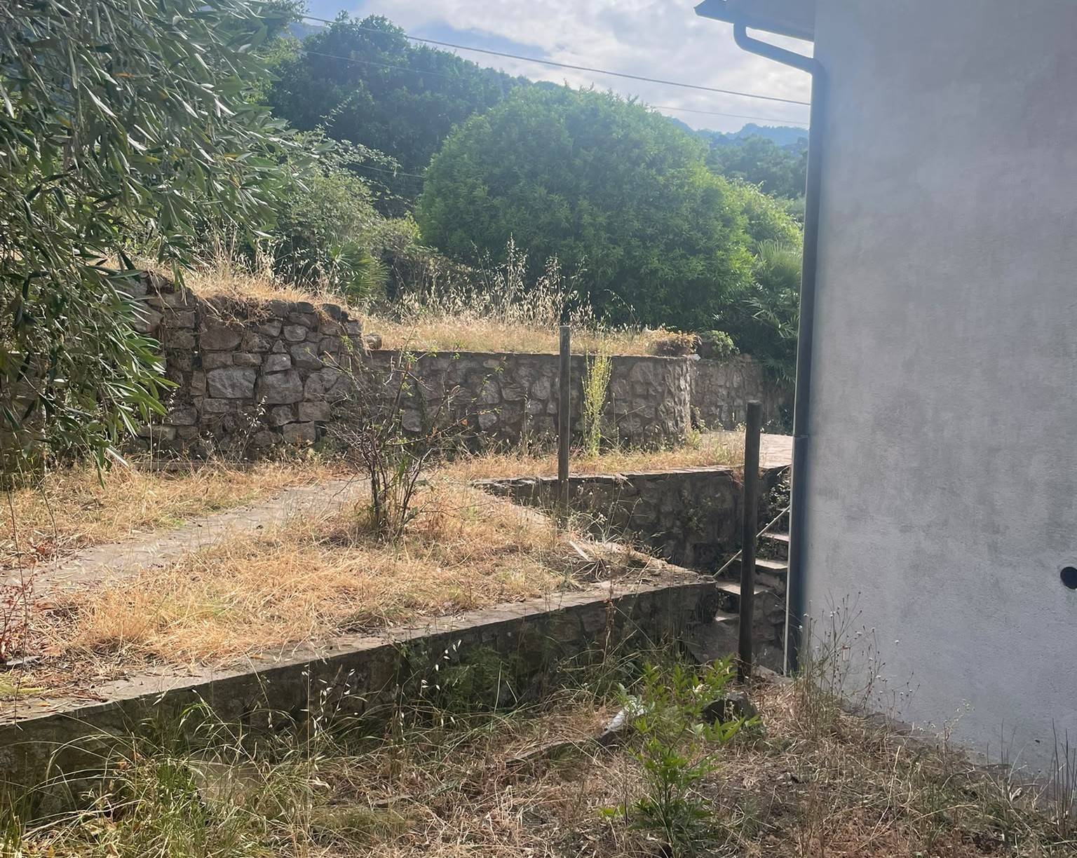 Foto annuncio 22