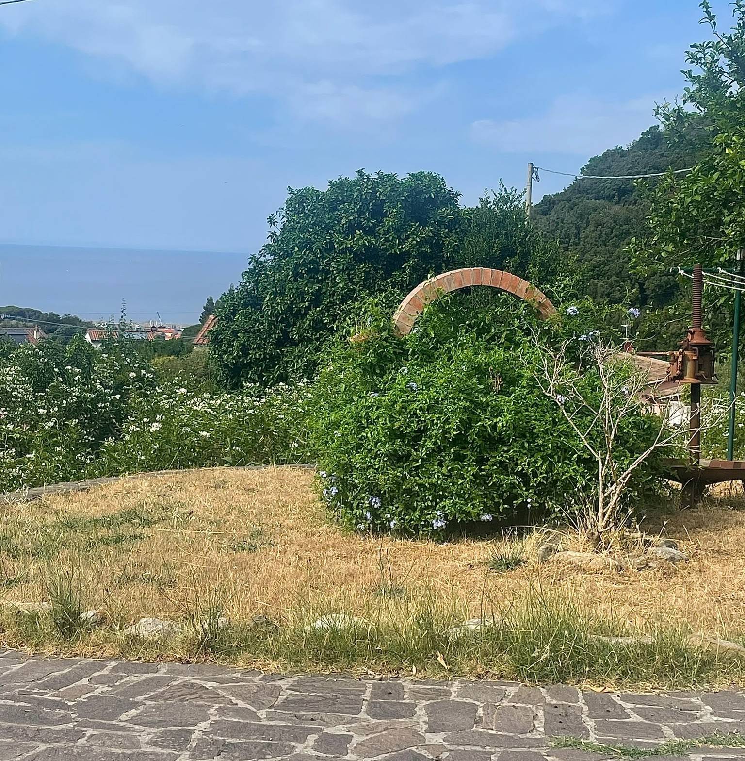 Foto annuncio 25