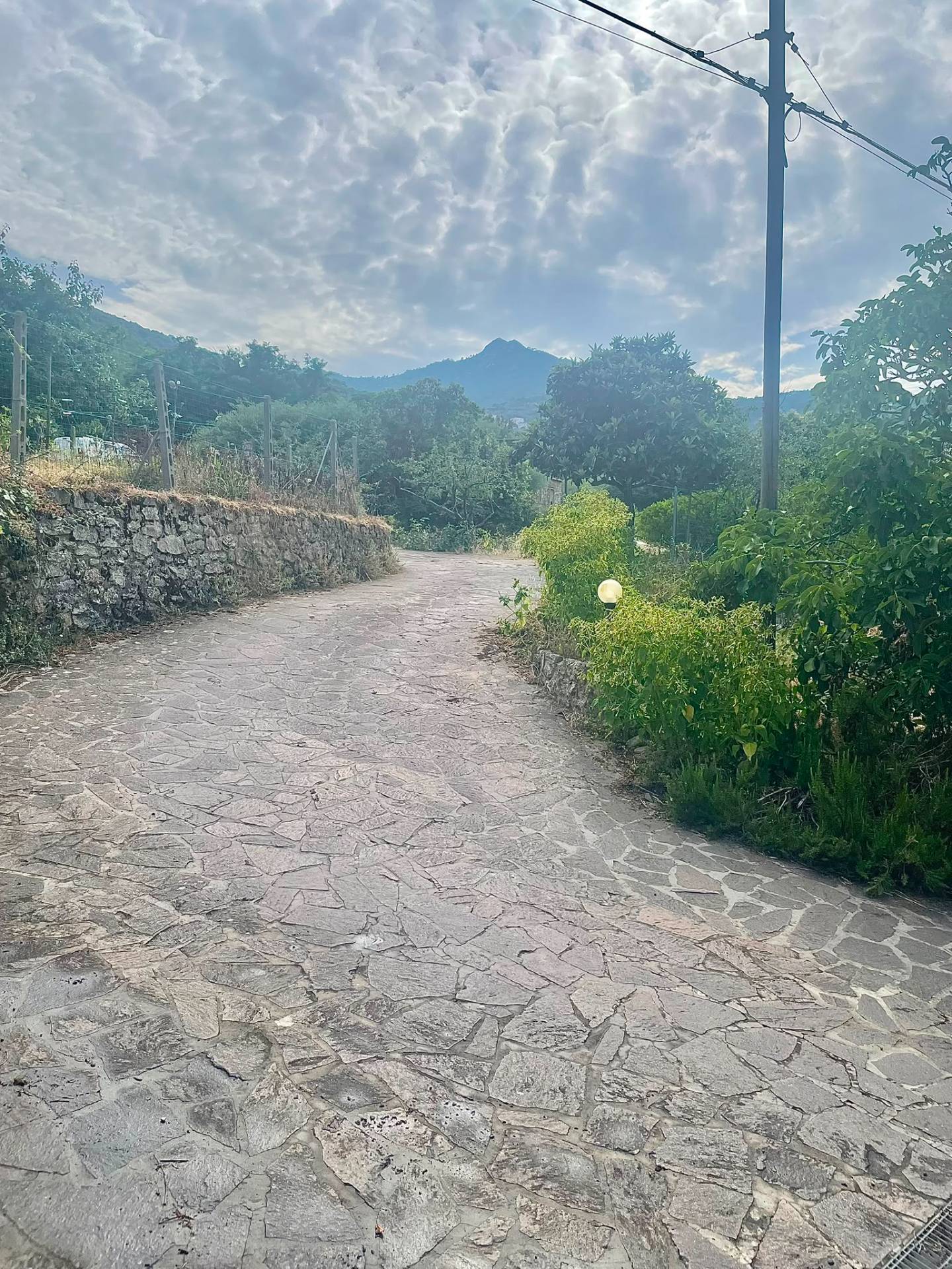 Foto annuncio 27