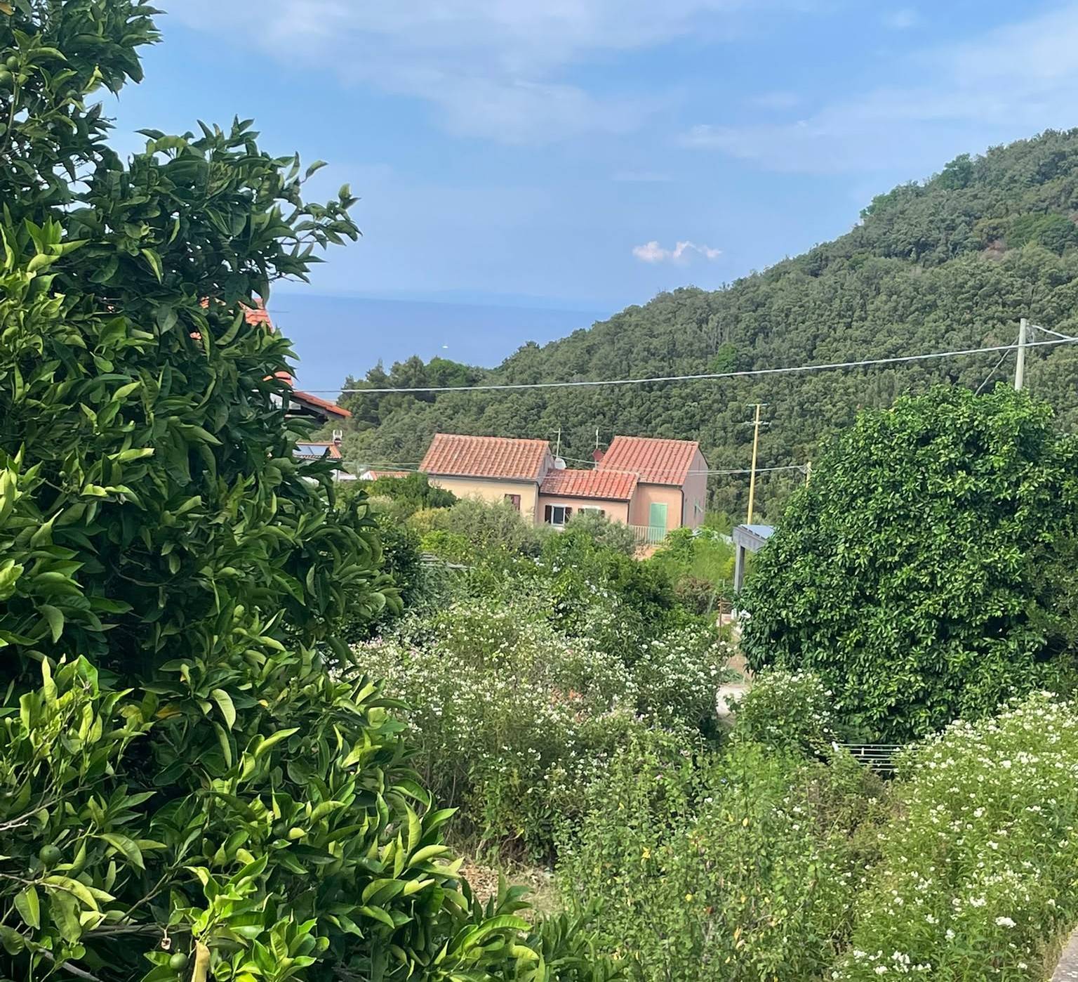 Foto annuncio 28