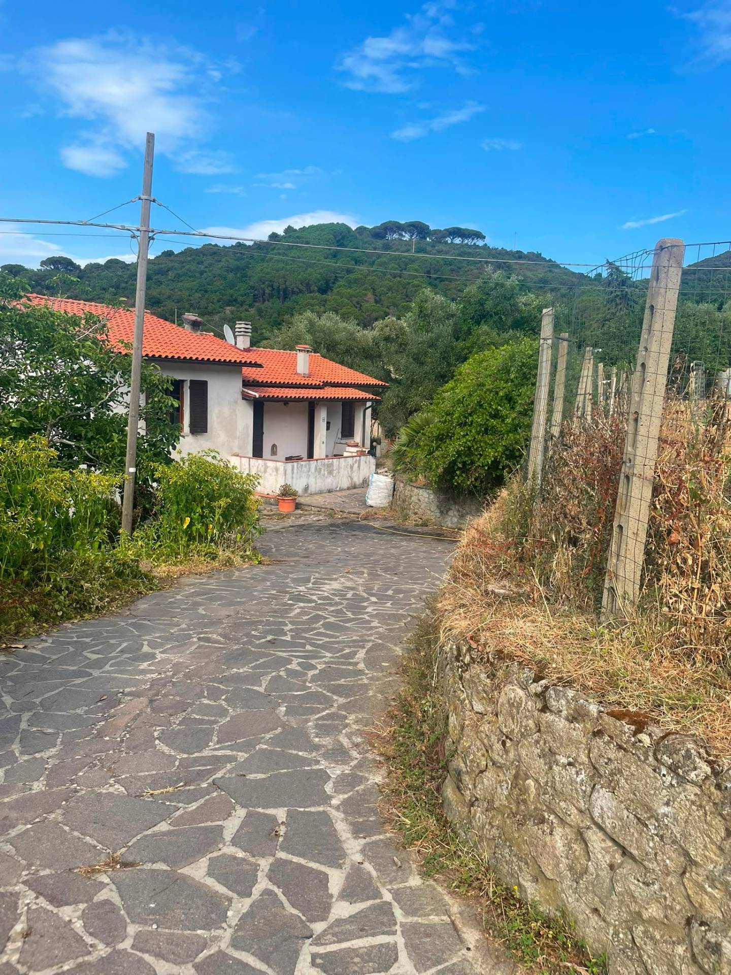 Foto annuncio 29