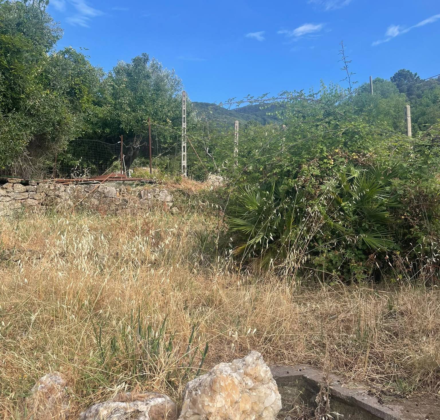 Foto annuncio 30